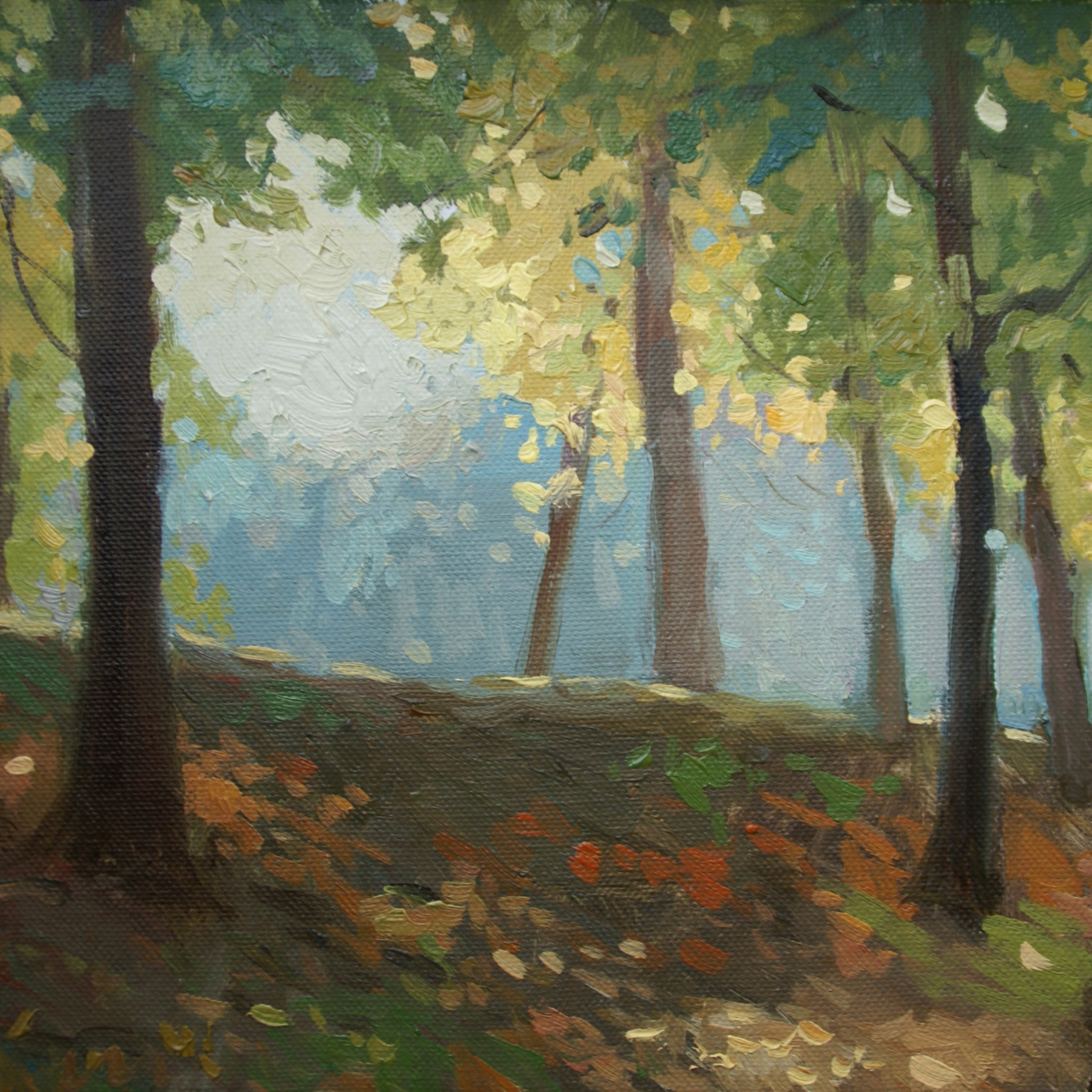 Этюды художника, Сергей Ратчин. Paintings by the artist Sergey Ratchin