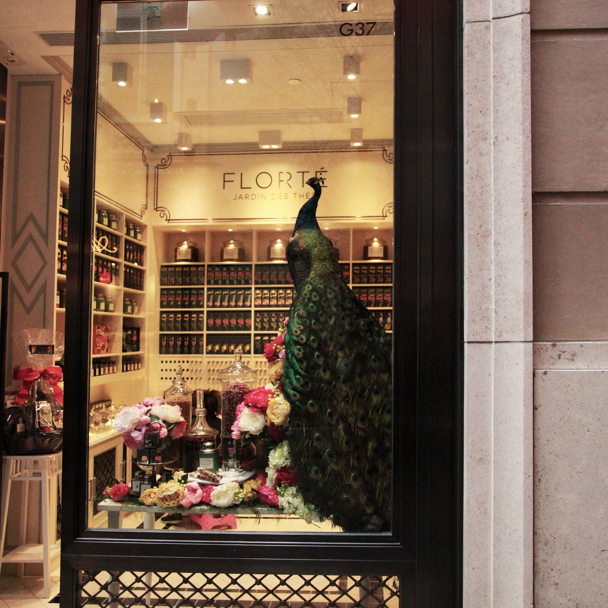 Гон Конг. Быт / 2017