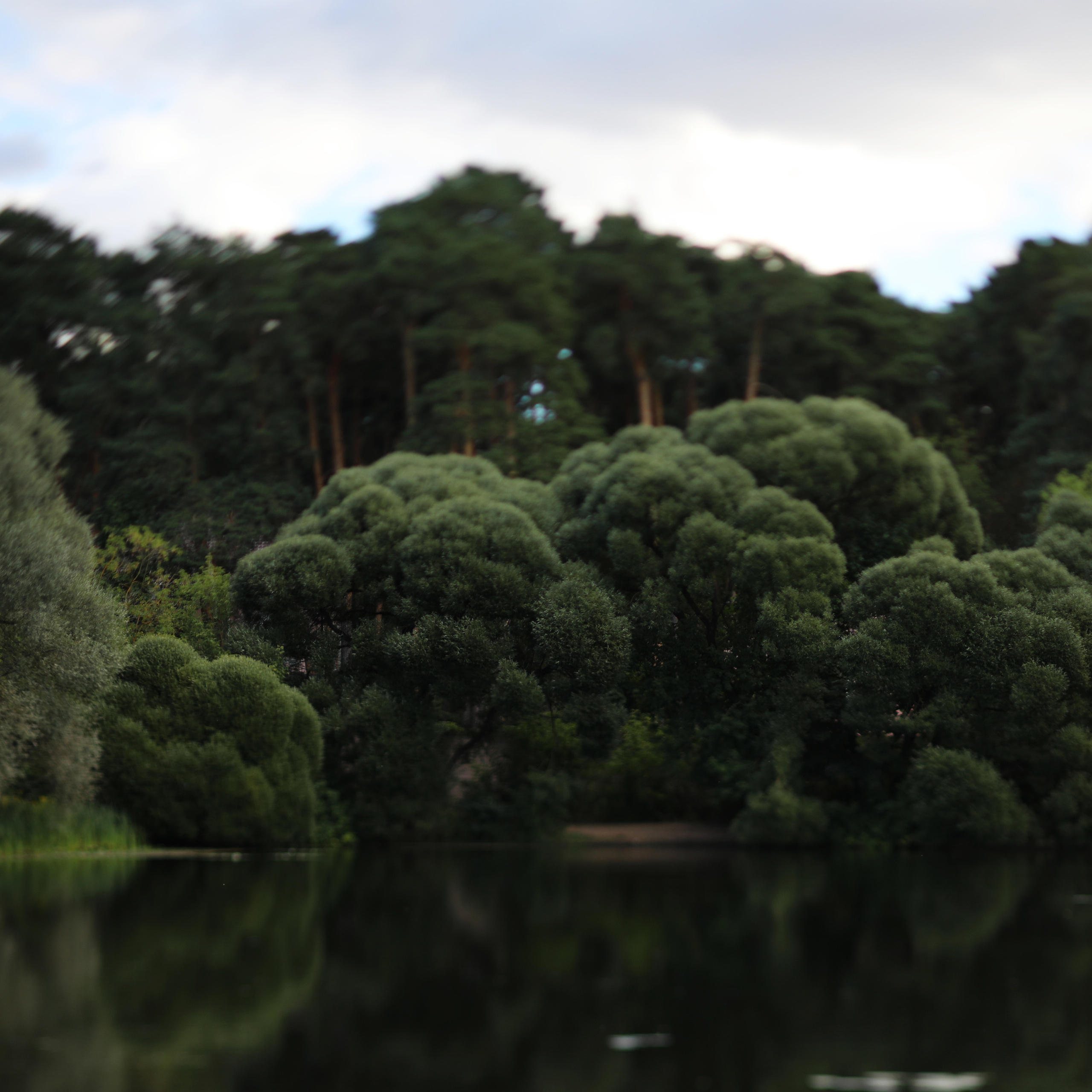 Серебряный бор / 2022