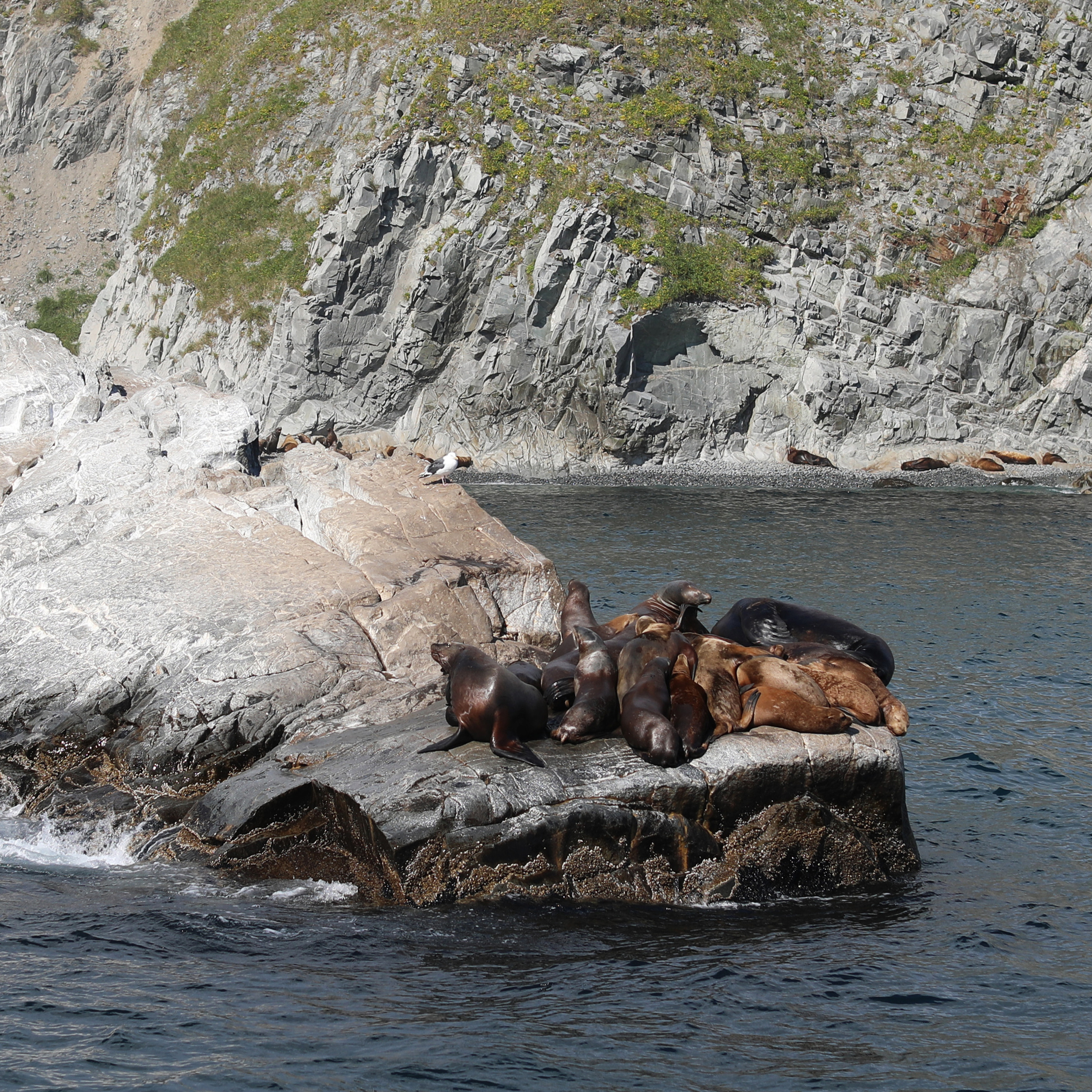 Камчатка. Океан