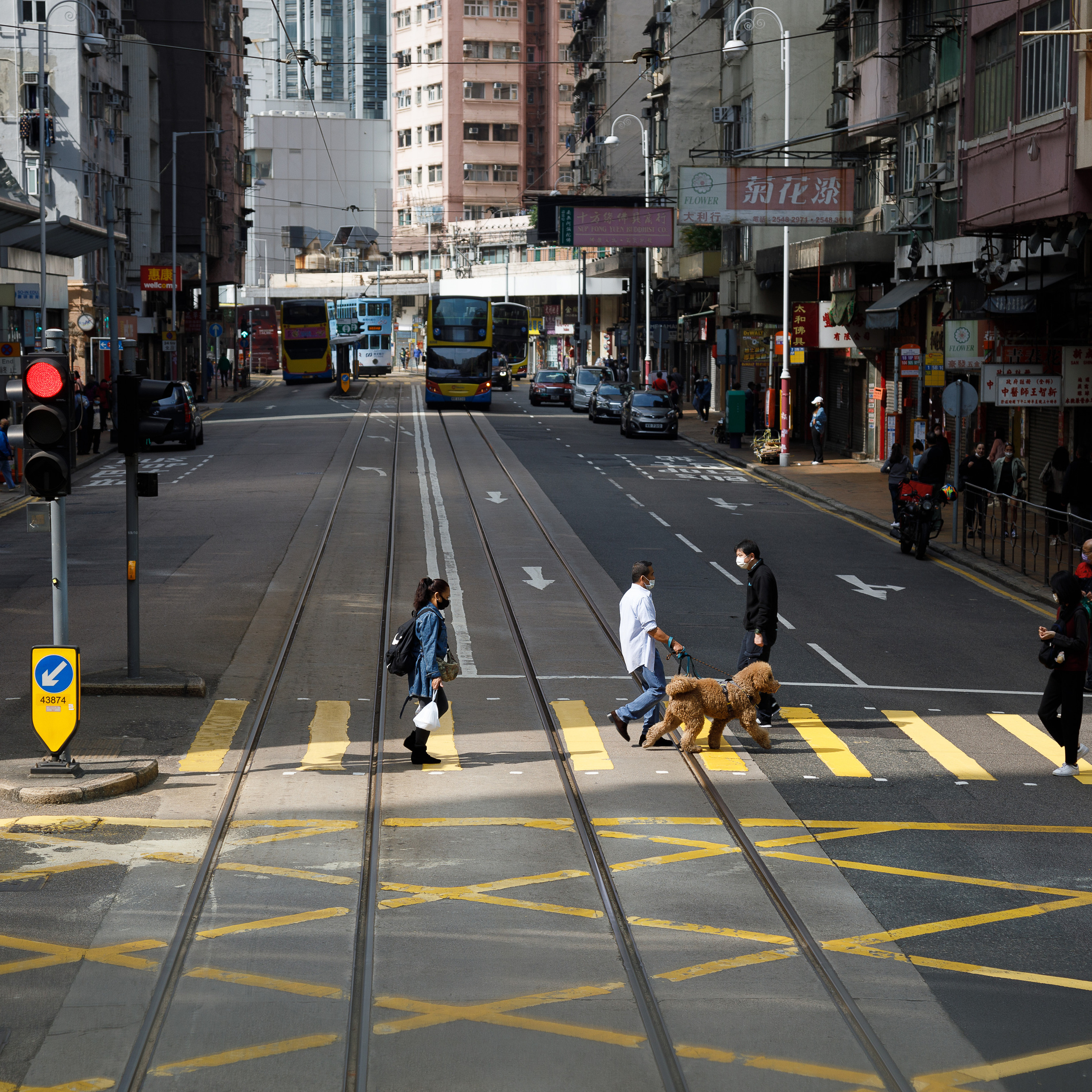 Гон Конг. Город желтых линий