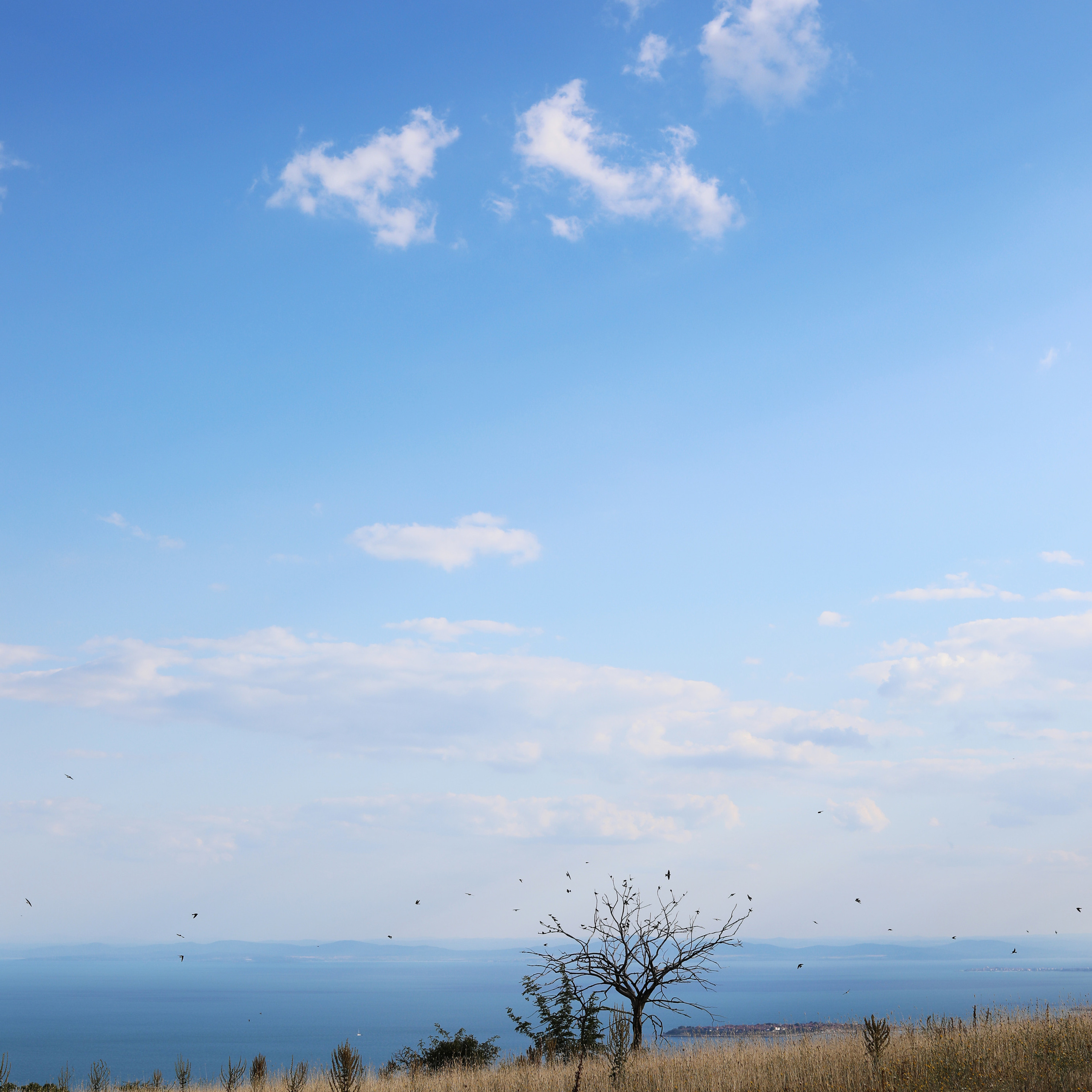 Болгария. Горы / 2022