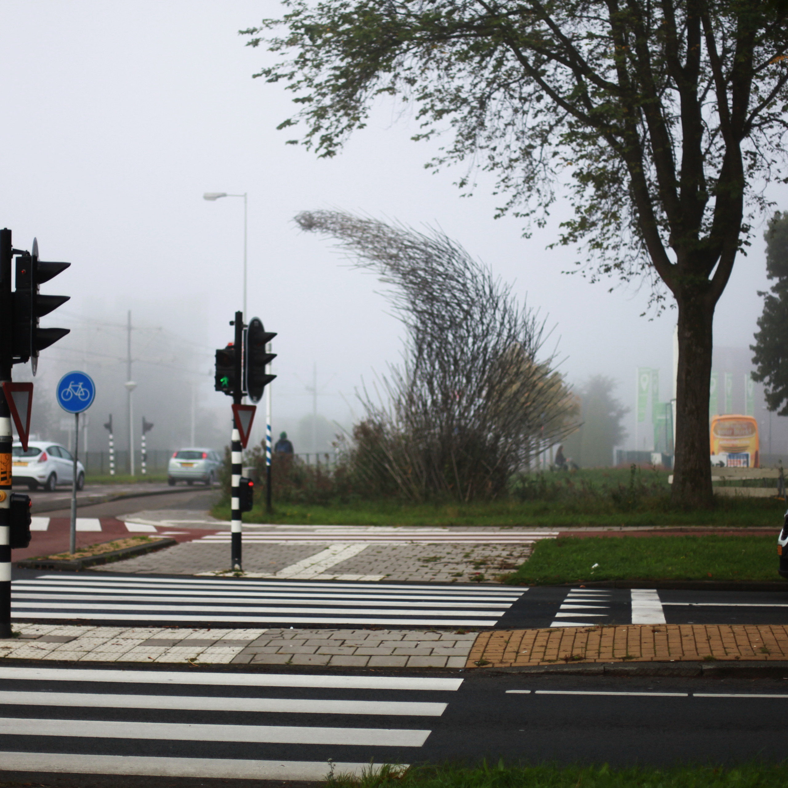 Голландия / 2017