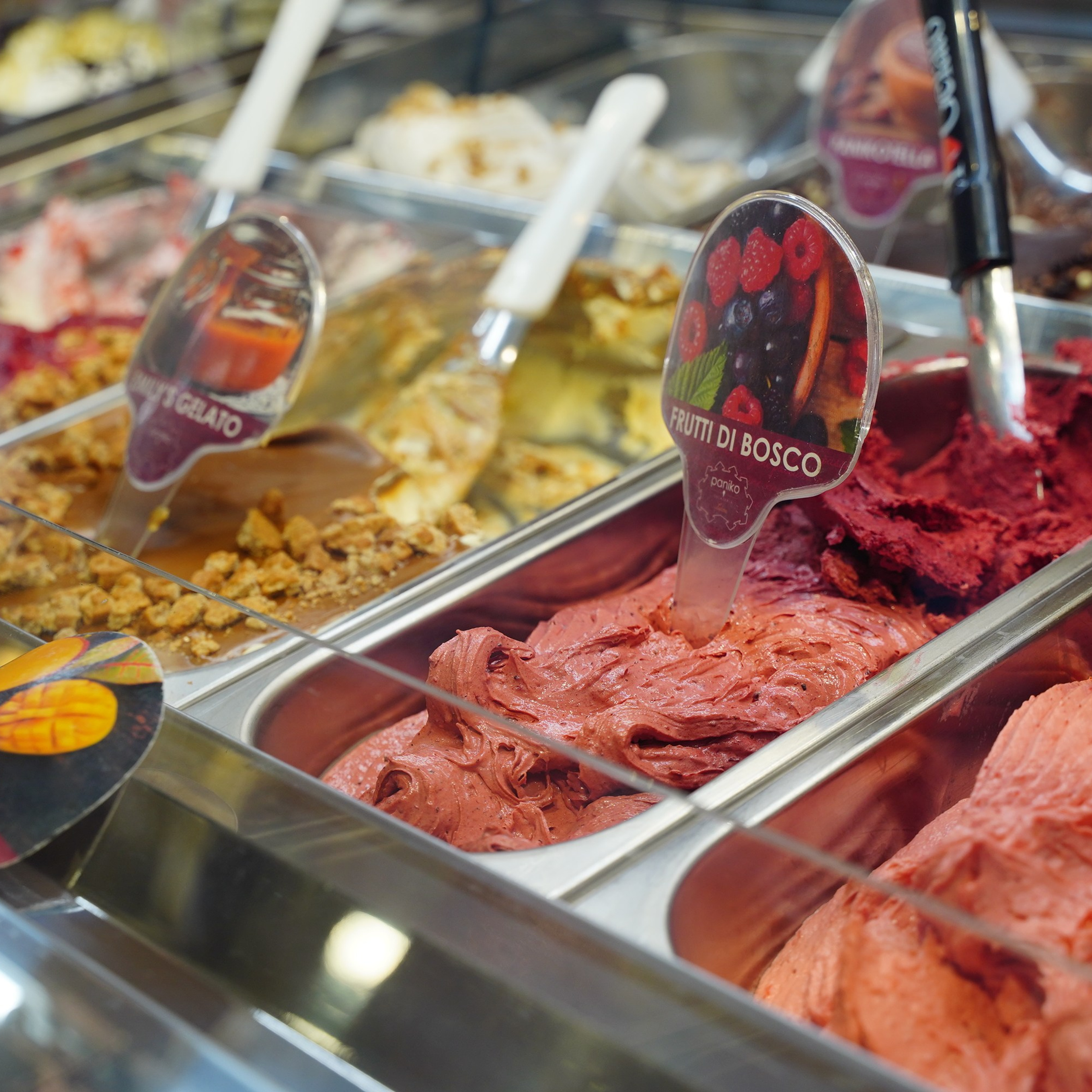 CONTENT SHOPS. Fotografa di Famiglia in Toscana, Lucca