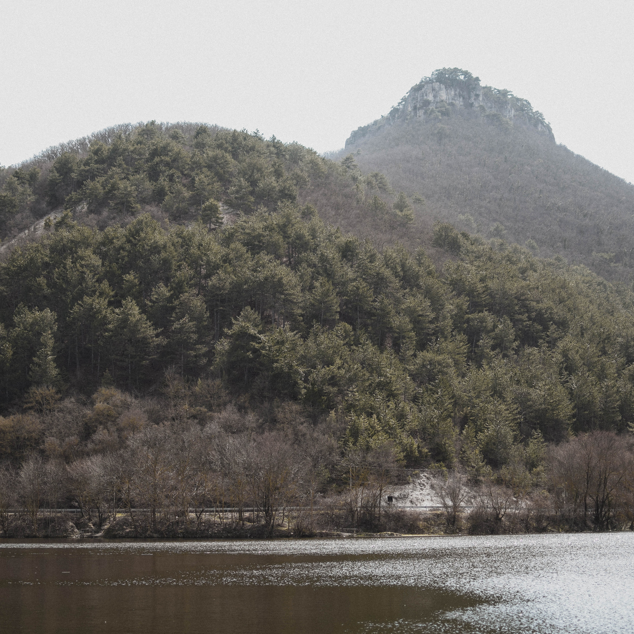 Ваш отзыв. Семейный фотограф в Крыму и Москве Светлана Казакова