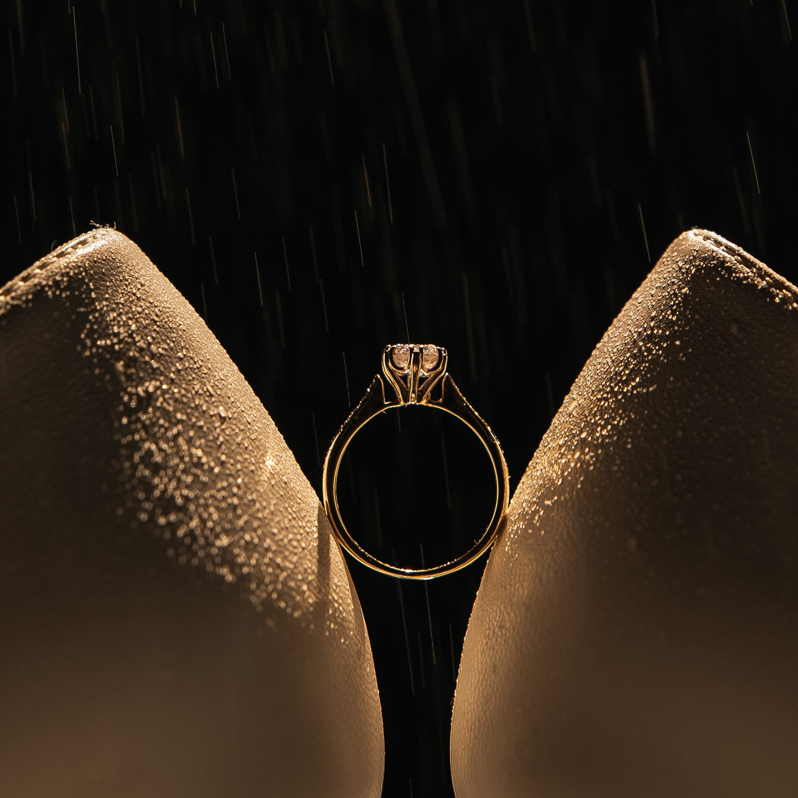 Коваленко Алена │ Фотограф