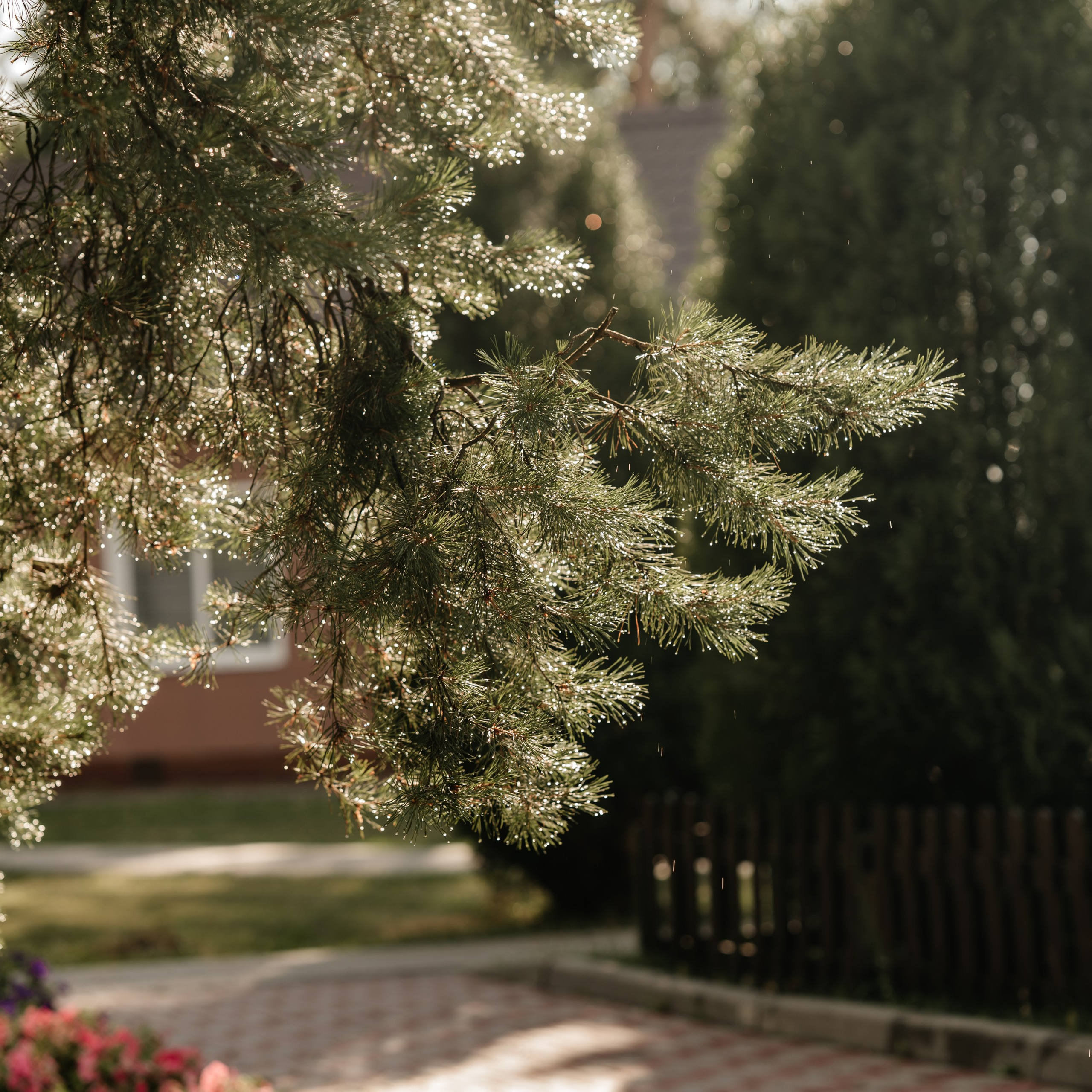 Даниил и Яна. Фотограф в Тамбове Дарья Выжанова