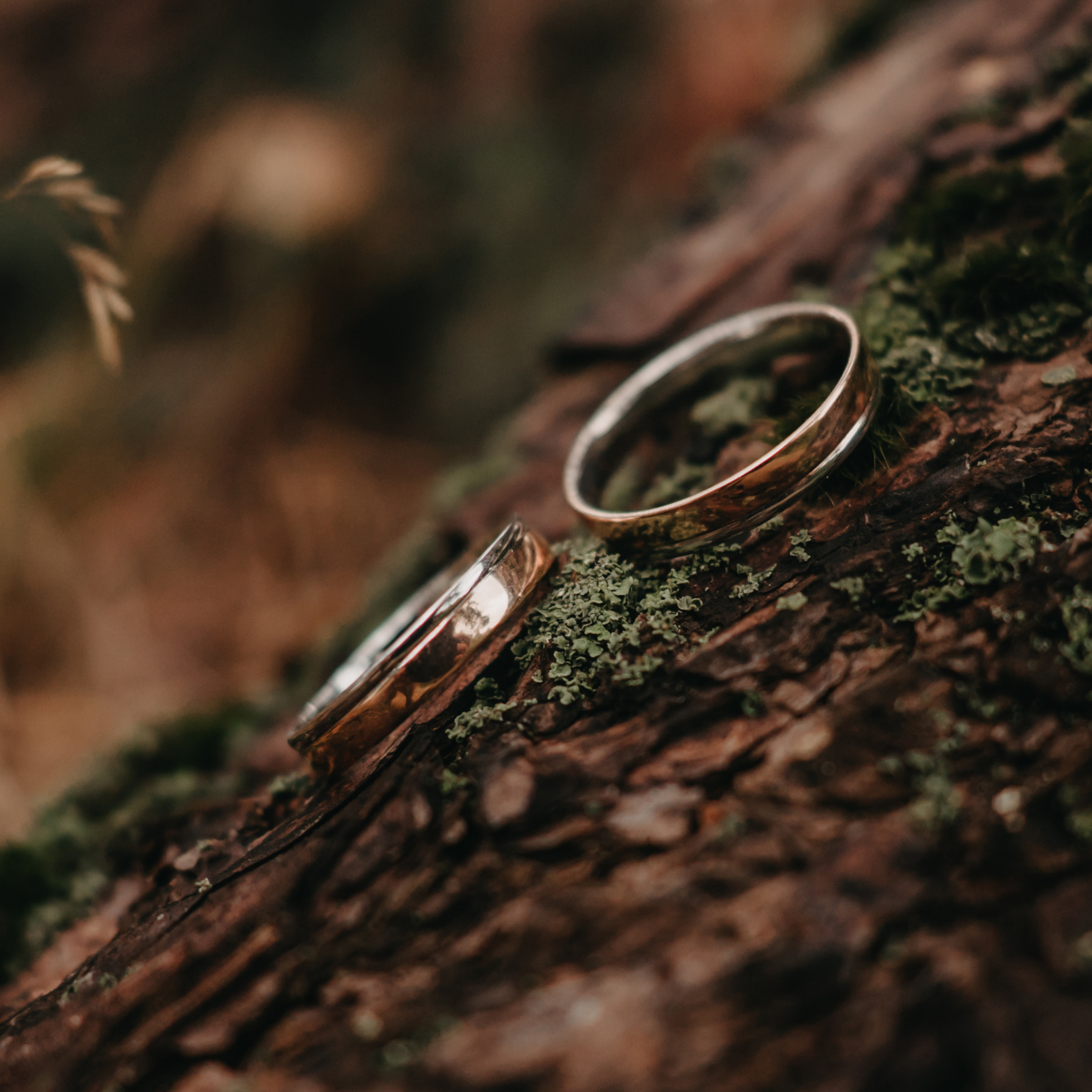 Отзывы. Фотограф в Тамбове Дарья Выжанова