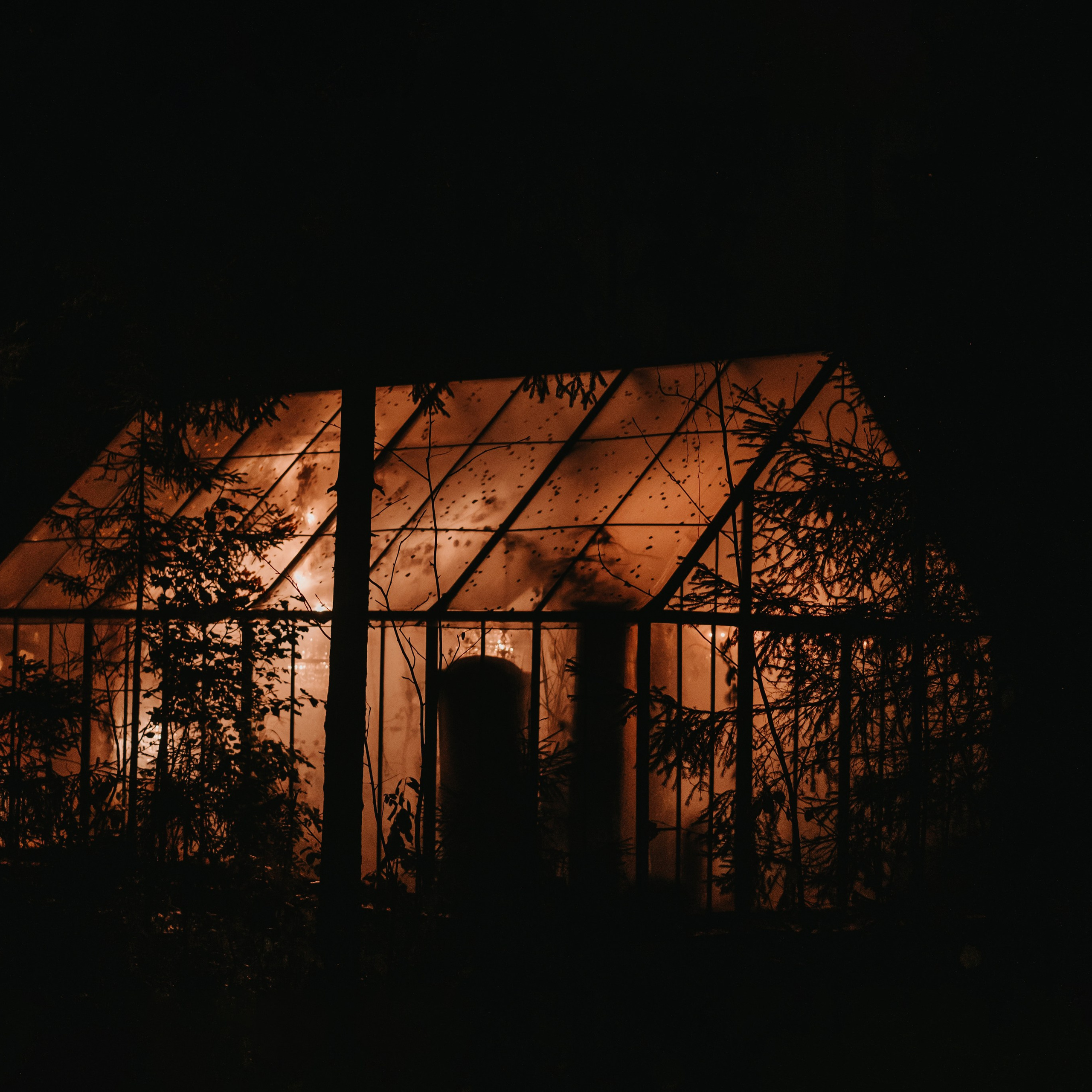 Алтынай. Фотограф в Тамбове Дарья Выжанова