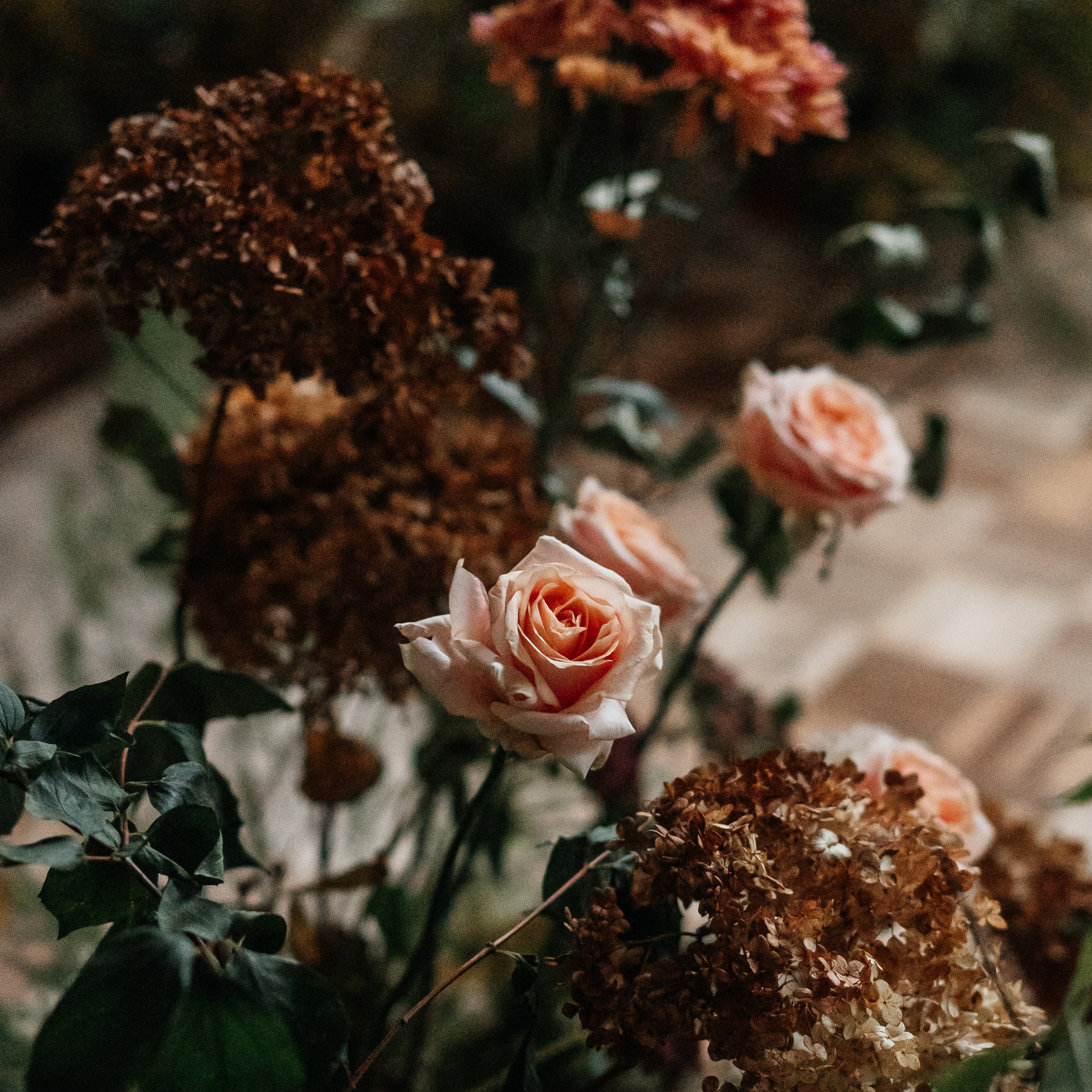 Осенний сад. Фотограф в Тамбове Дарья Выжанова