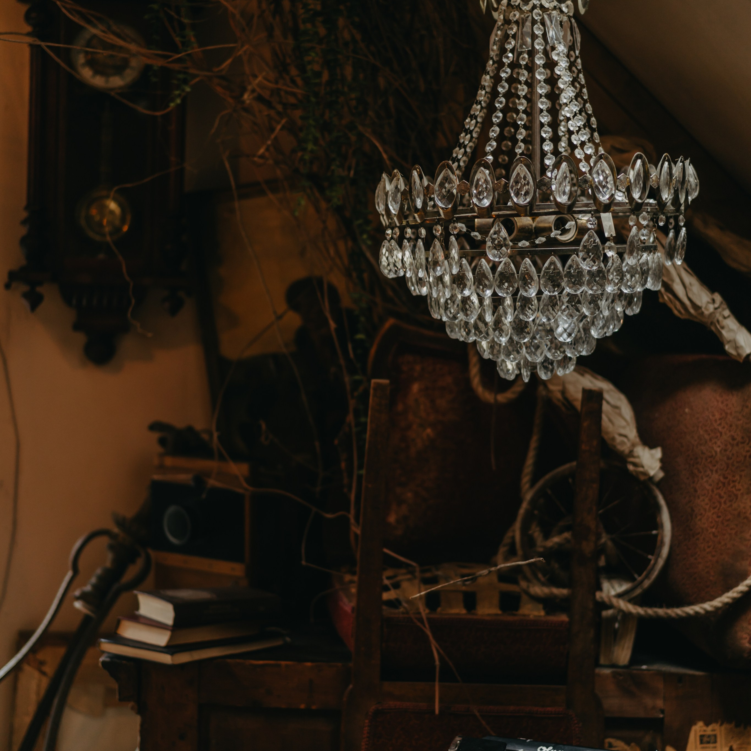 Ангелина. Фотограф в Тамбове Дарья Выжанова