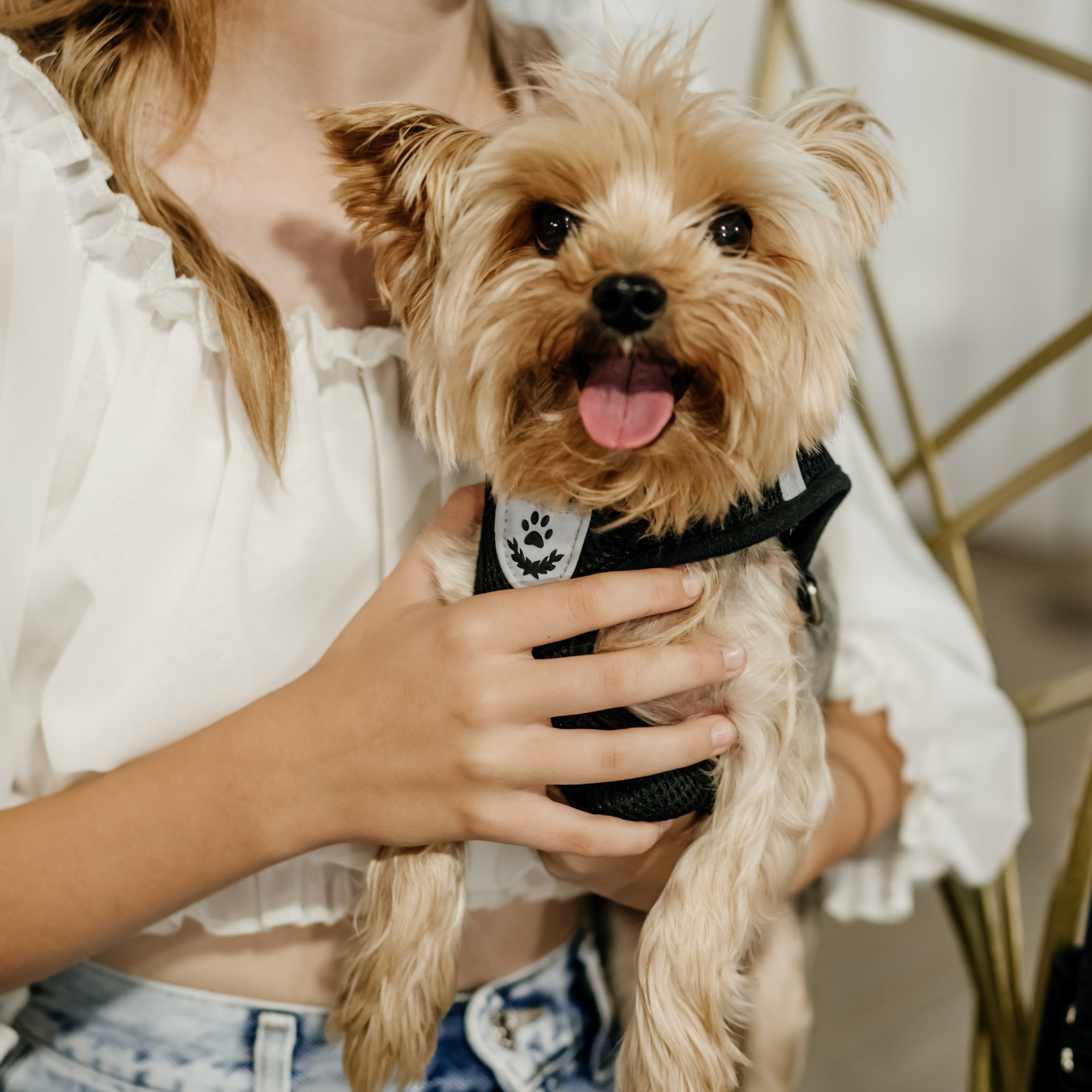 Даниил и Анастасия. Фотограф в Тамбове Дарья Выжанова