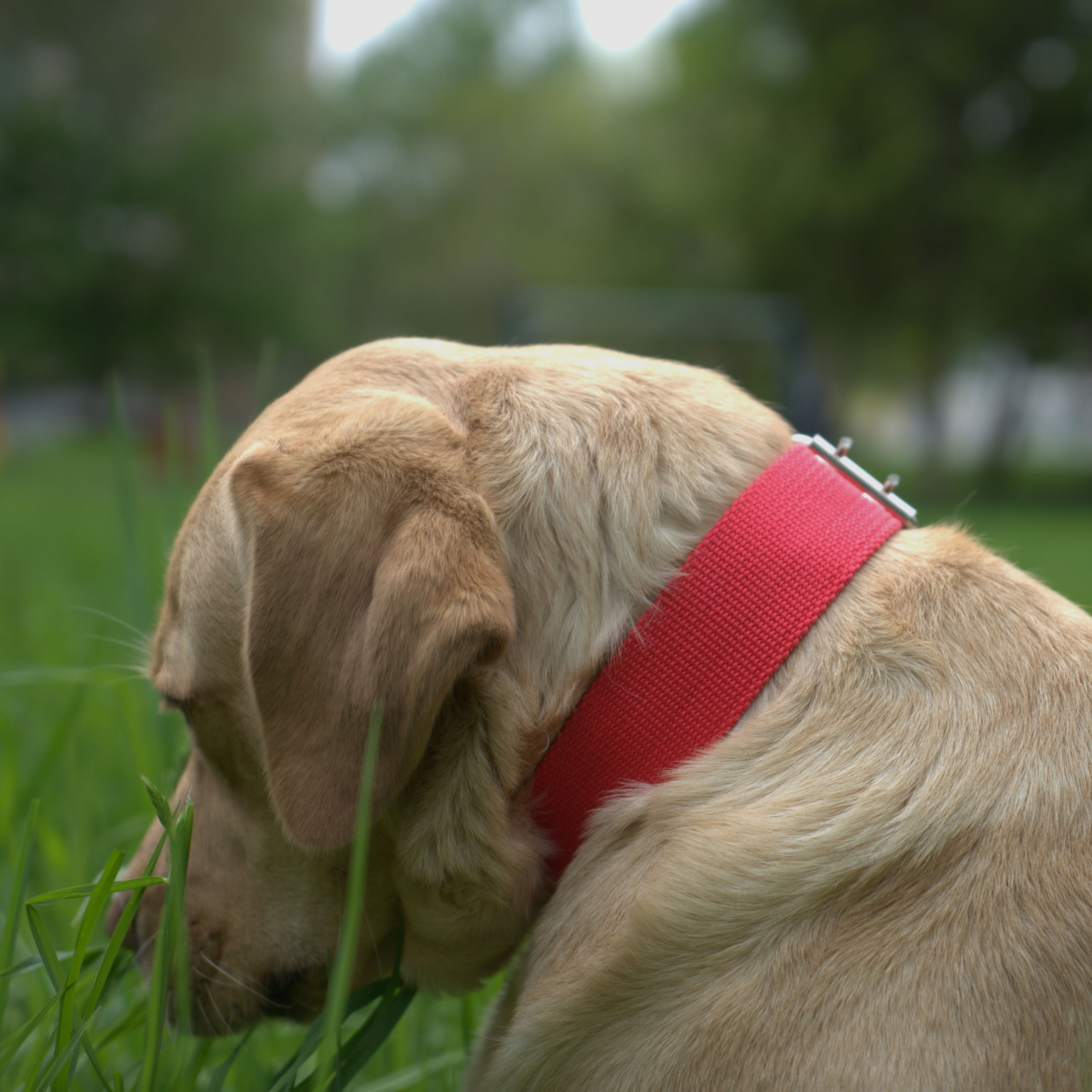 Отзывы клиентов. Фотограф в Сочи Тиунова Маргарита и Тиунов Евгений