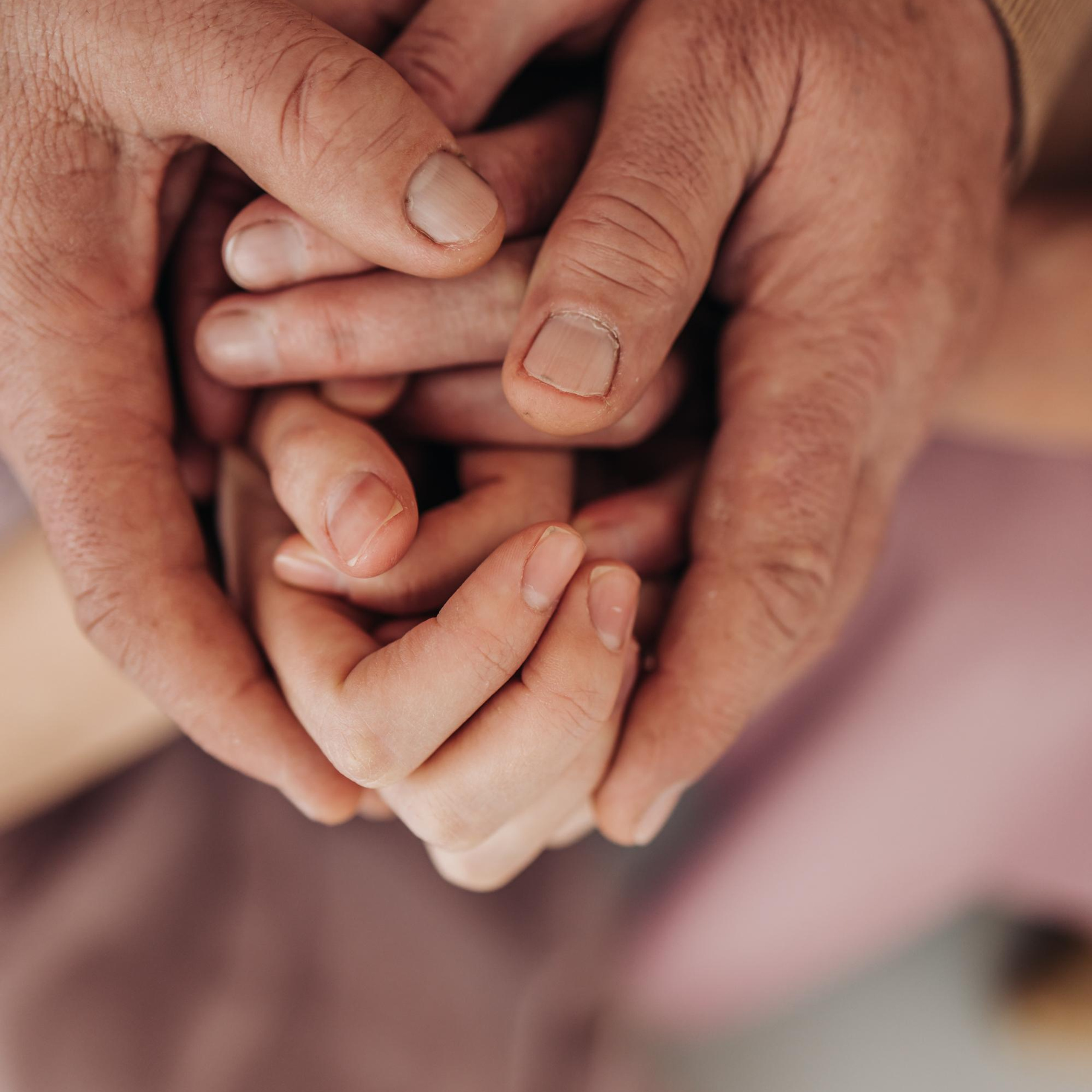 Отзывы. Семейный и свадебный фотограф Viva Photo