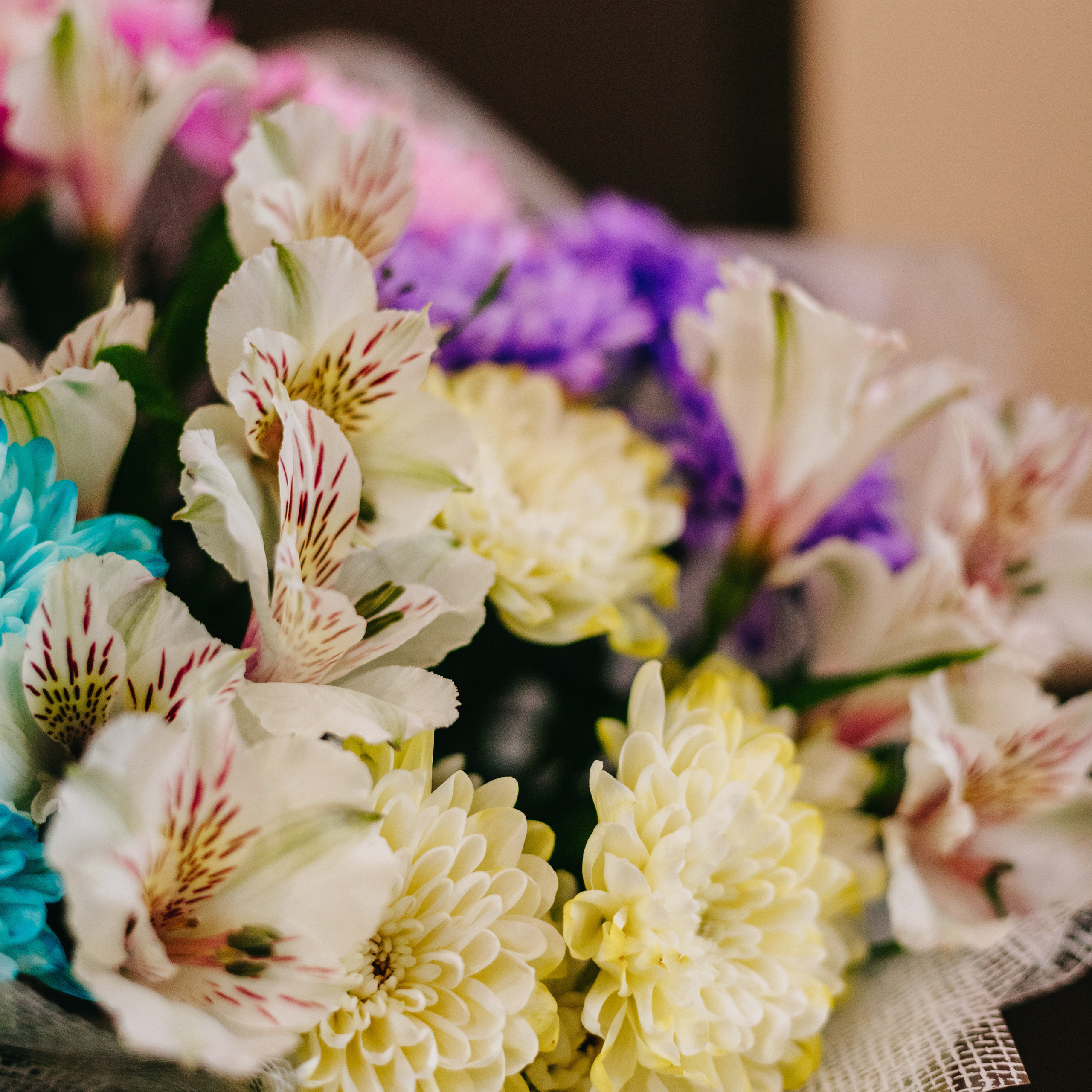 Отзывы. Семейный и детский фотограф в г. Новосибирске Макеева Анастасия