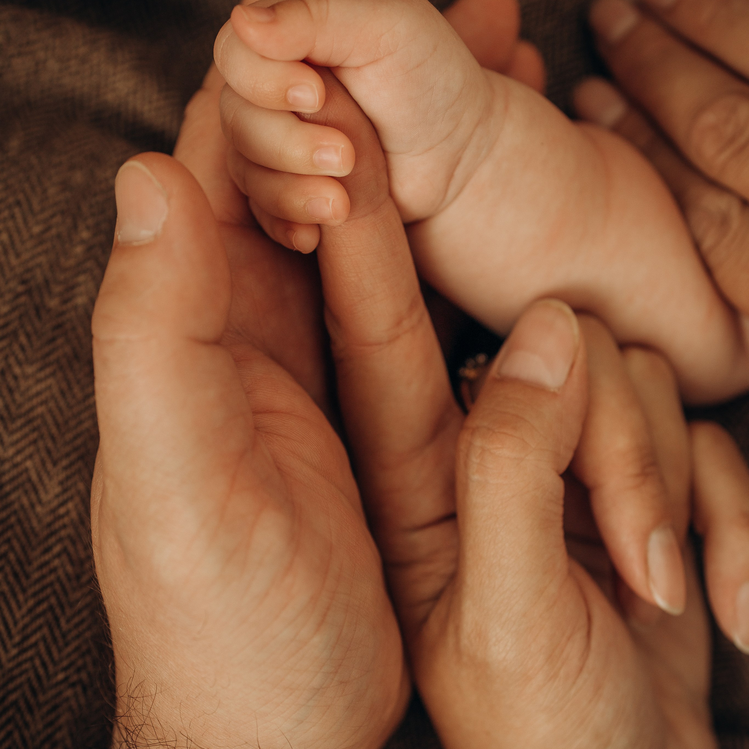 Отзывы. Phbyadel.wfolio.pro