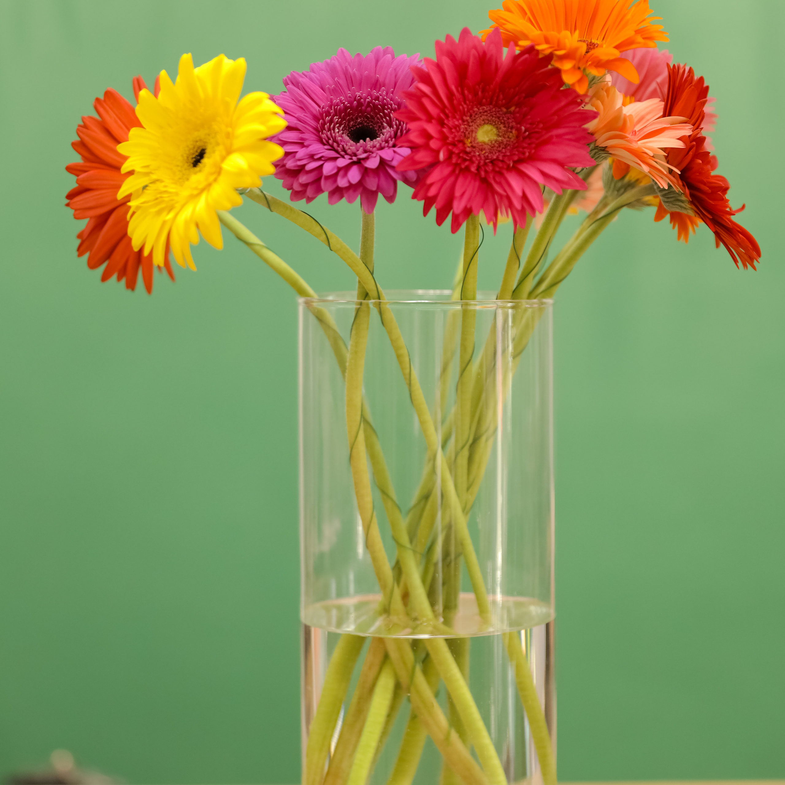 Отзывы. Свадебный фотограф в Уфе Лилия Сова