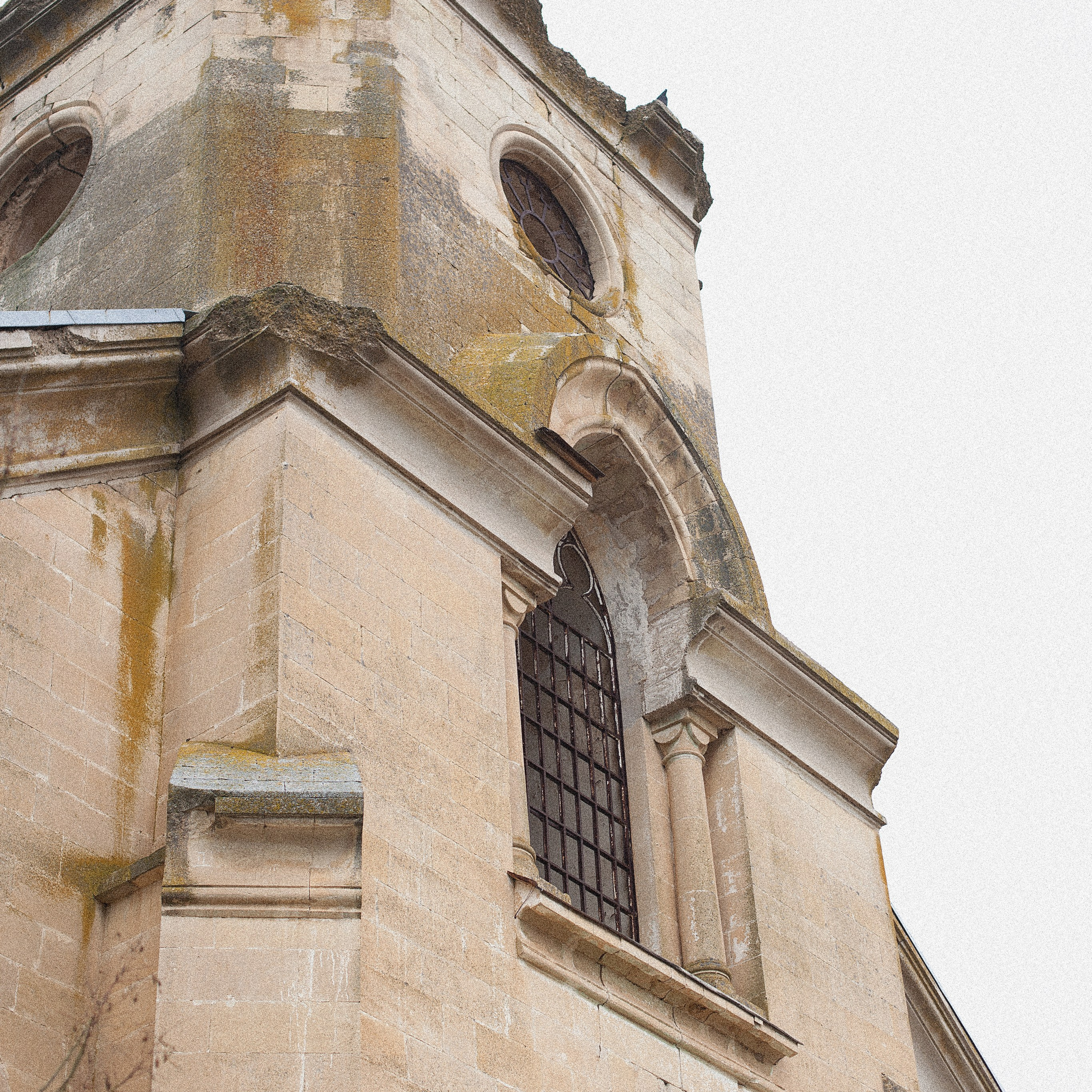 Фотограф Яна Романова