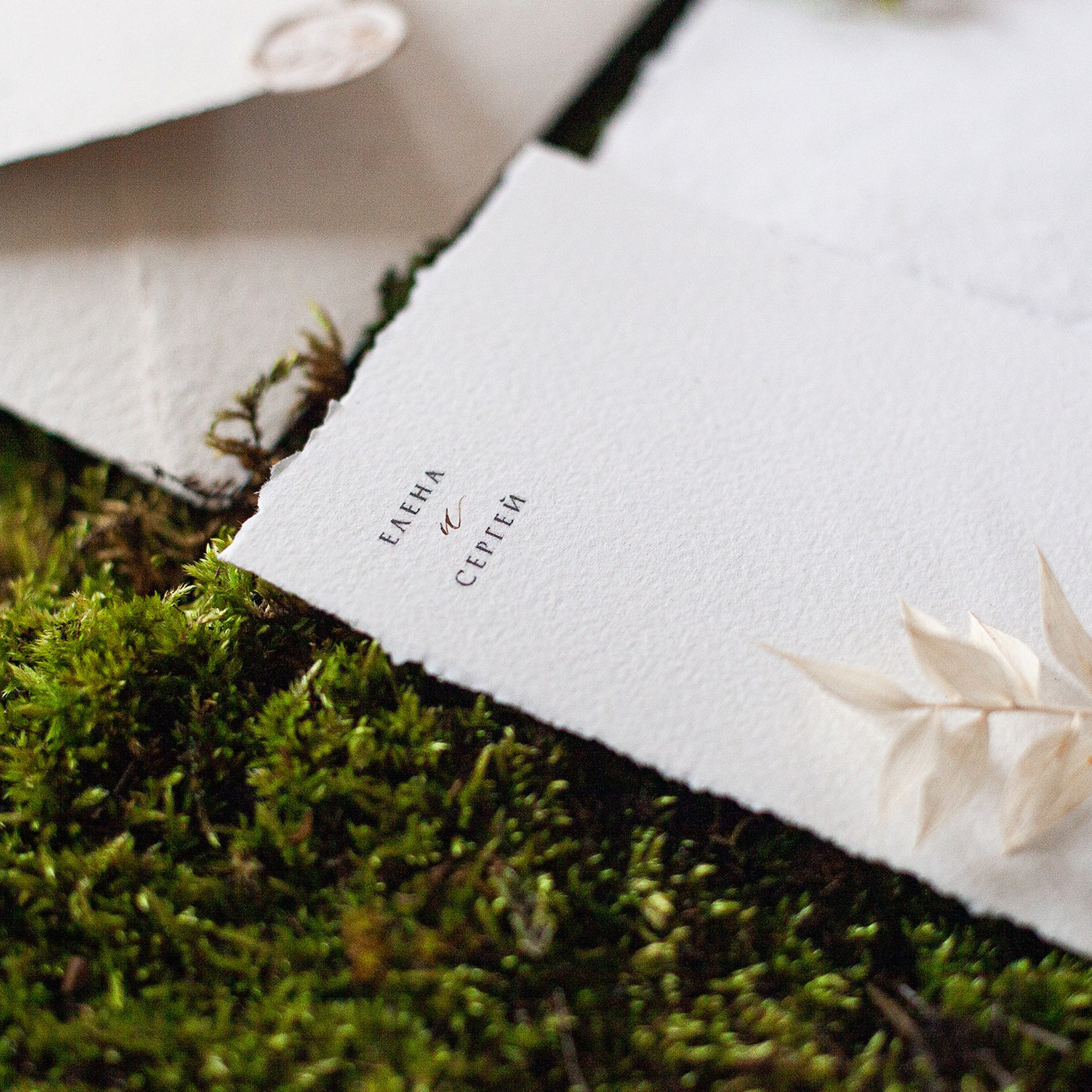 Фотограф Яна Романова