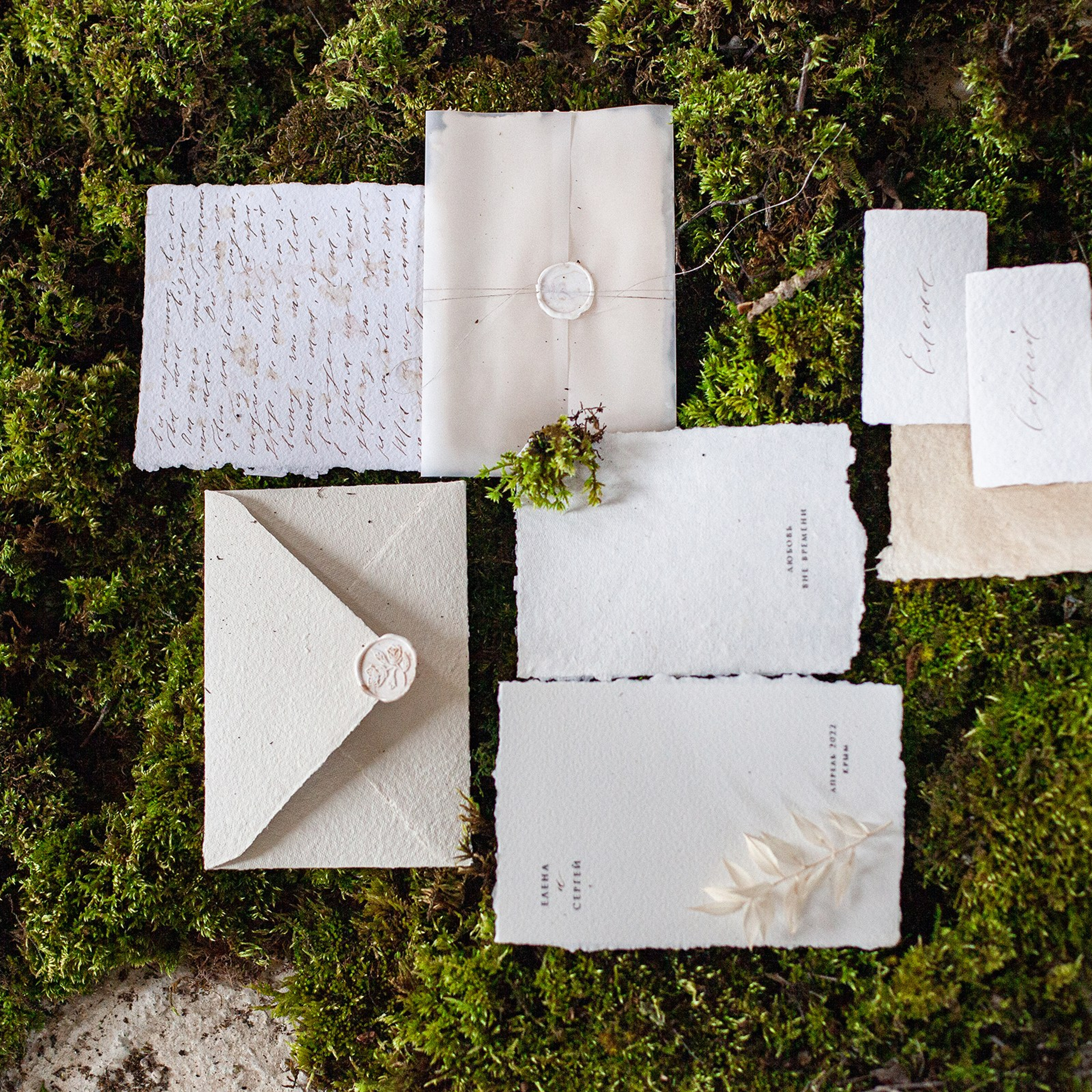 Фотограф Яна Романова