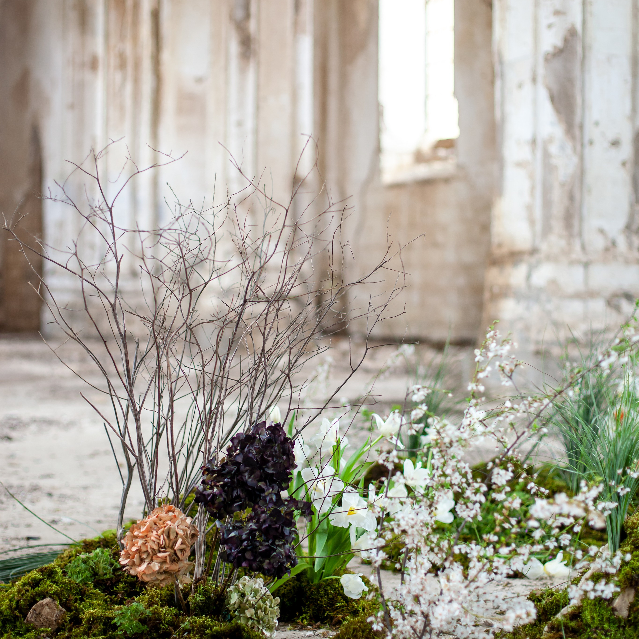 Фотограф Яна Романова