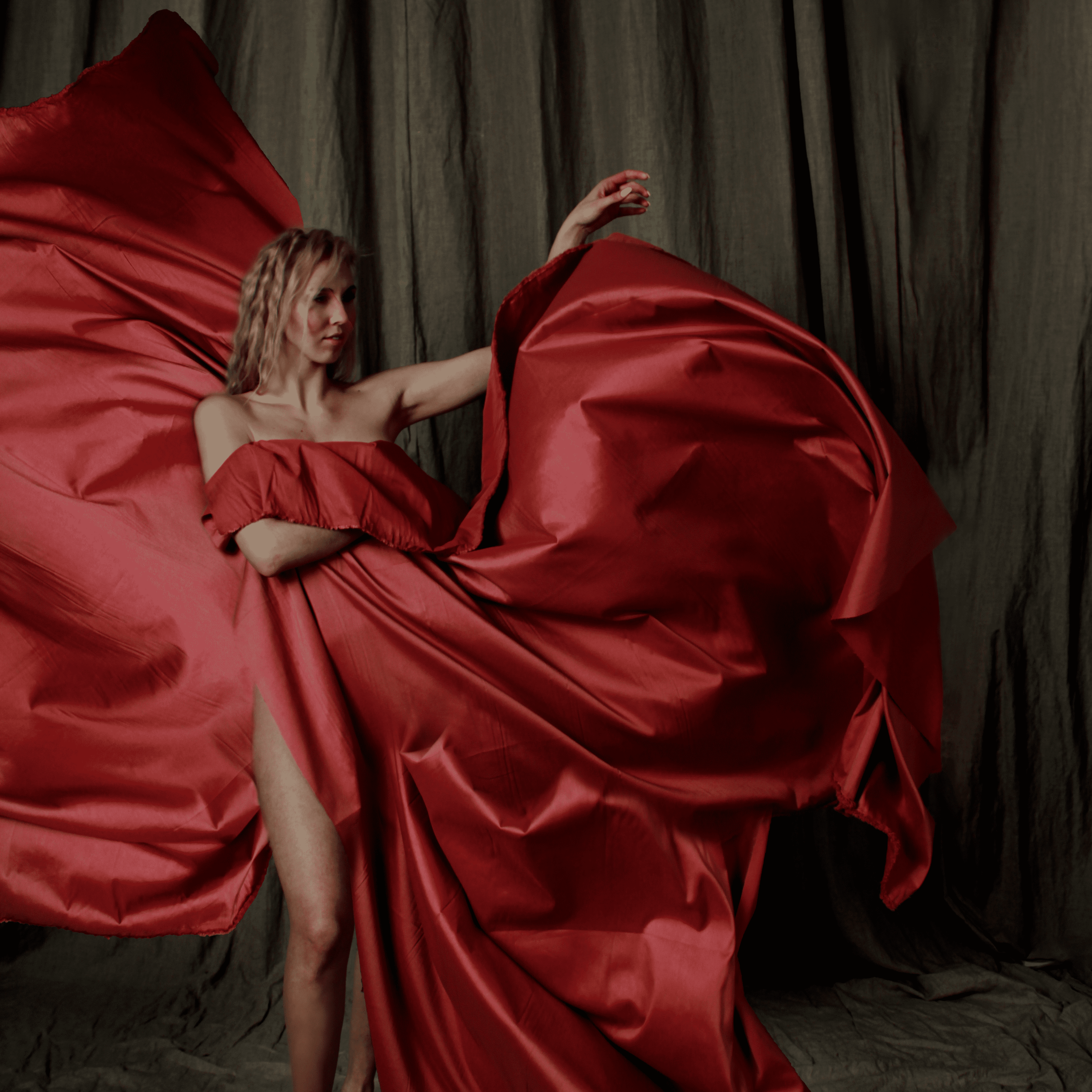 Вика (студия)