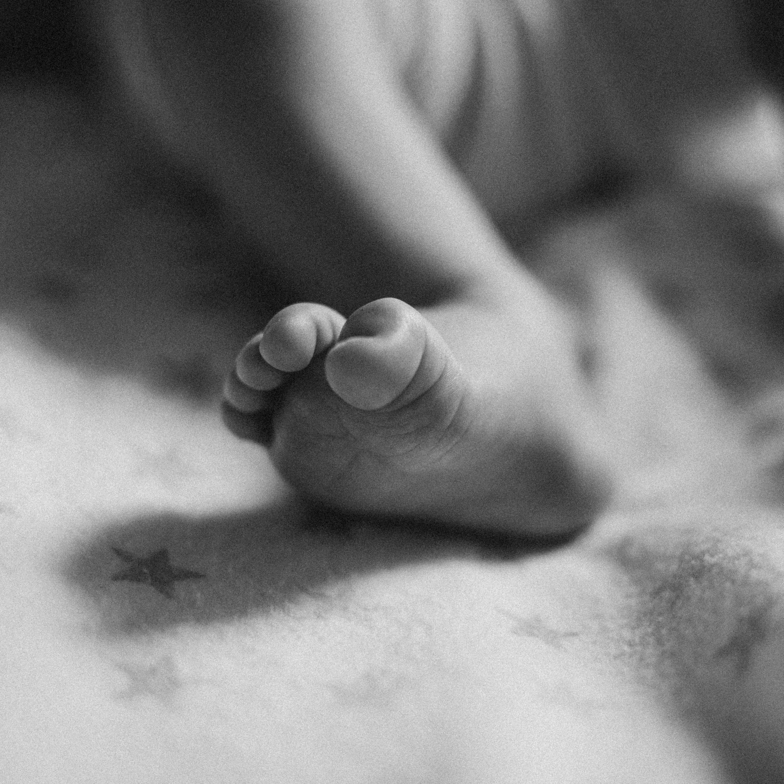 Отзывы. Фотограф Ольга Иванова Ярославль-Москва