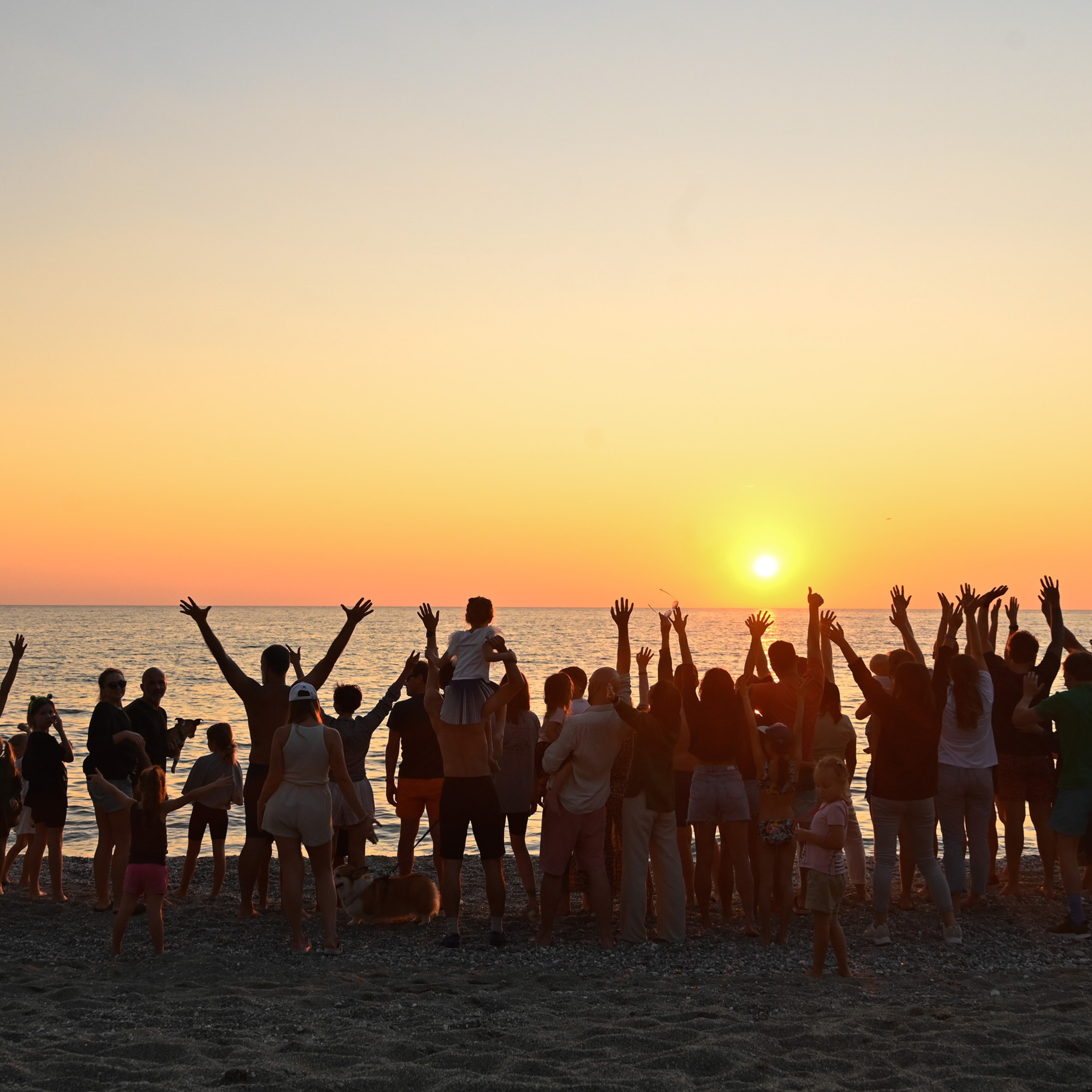 FEEDBACK. Photo & Video production, in Bishkek, Kyrgyzstan