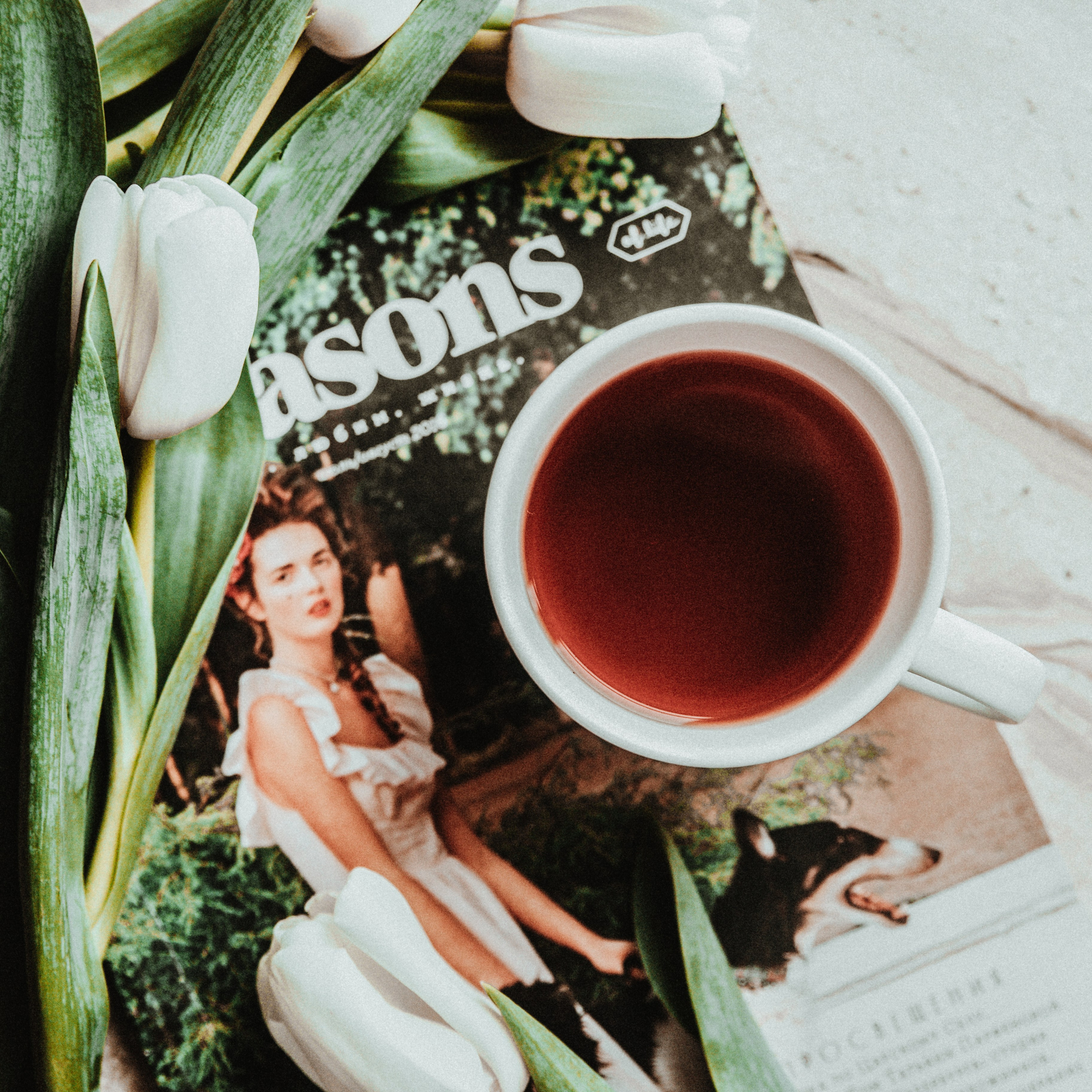 Отзывы. Портретный и Семейный фотограф в Санкт-Петербурге Rocket Alice