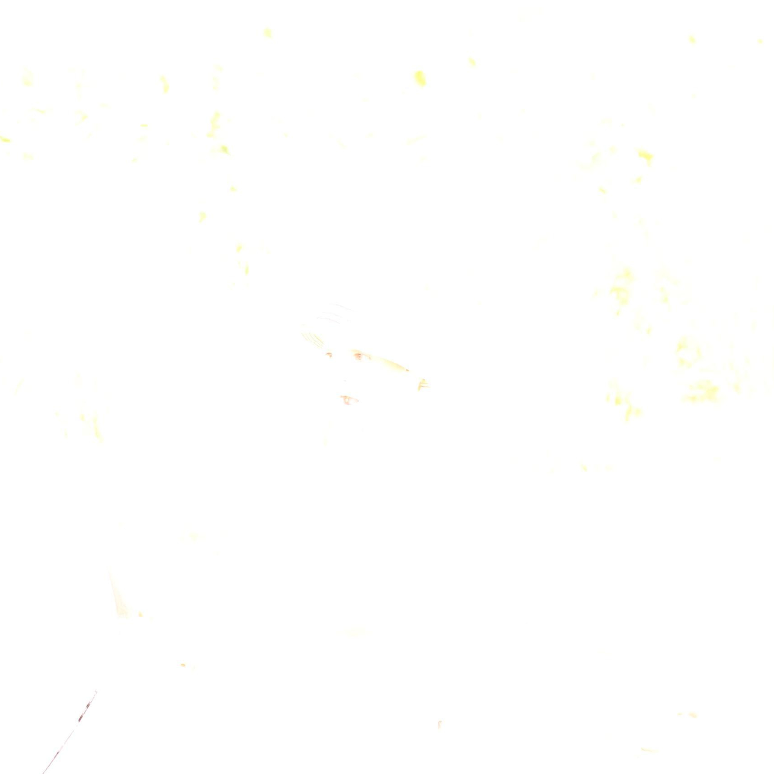 Отзывы. Семейный фотограф в Минске Саша Павлюк