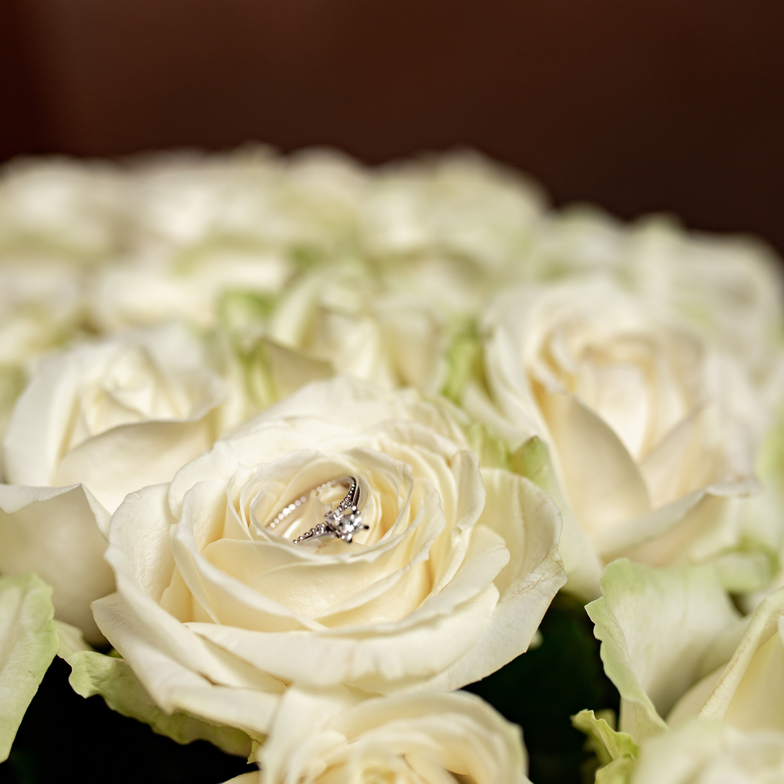 Отзывы. Свадебный и семейный фотограф в Сочи Анастасия Мальцева