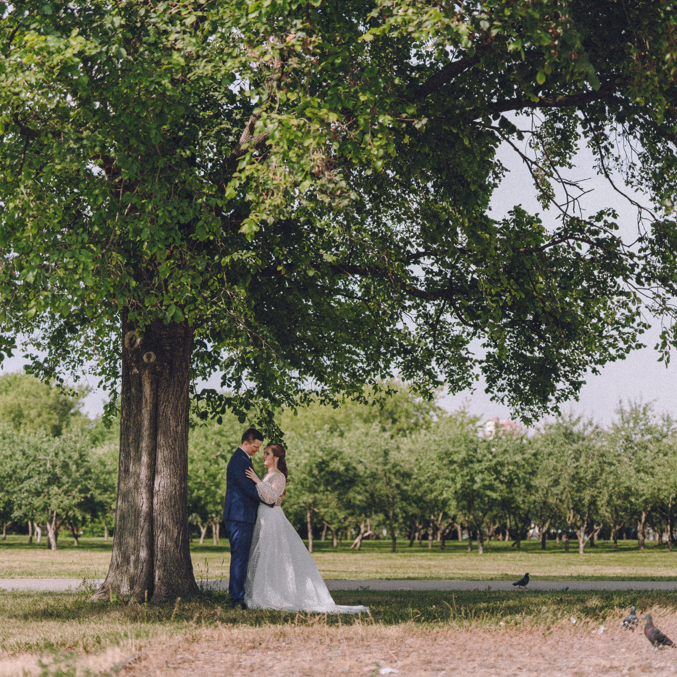 Отзывы. Фотограф Наталья Колганова