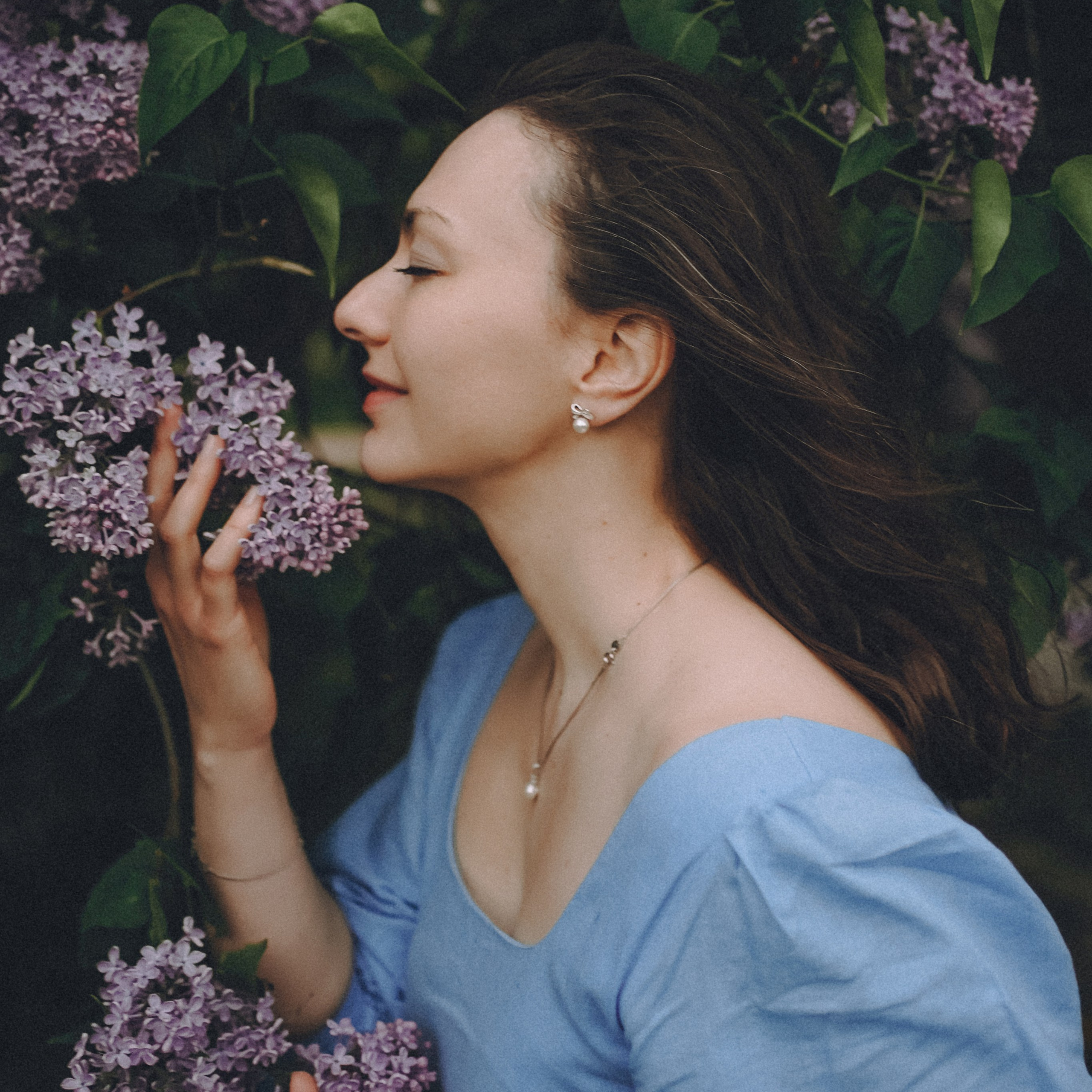 Сиреневый сон