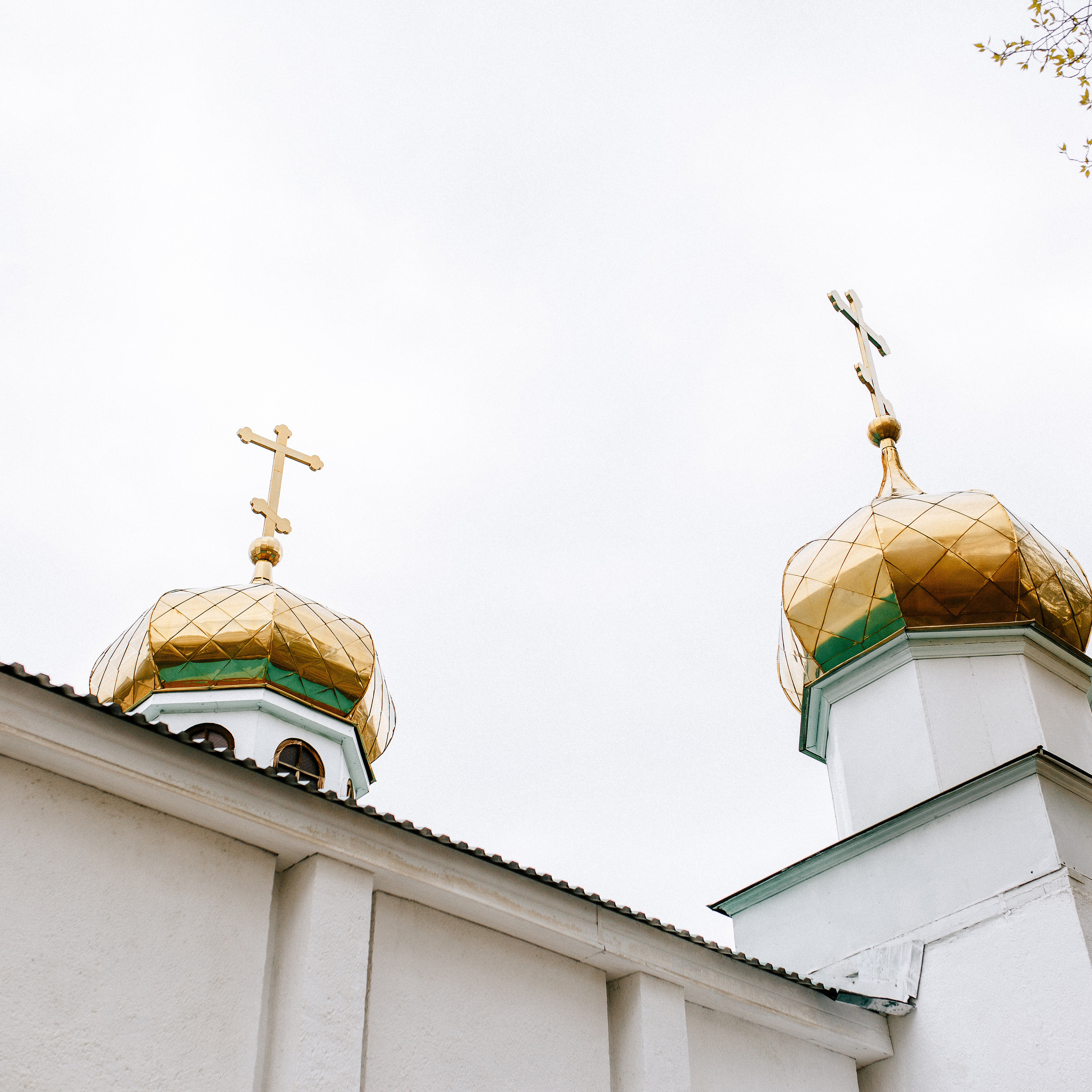 Отзывы. Фотограф в Смоленске Ольга Давыдова