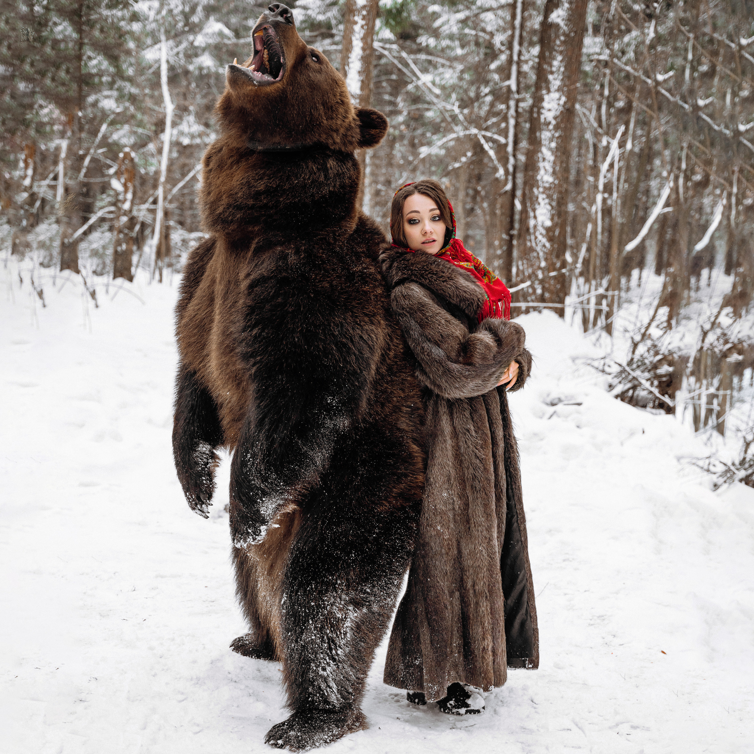 Фотосессия с медведем в Москве