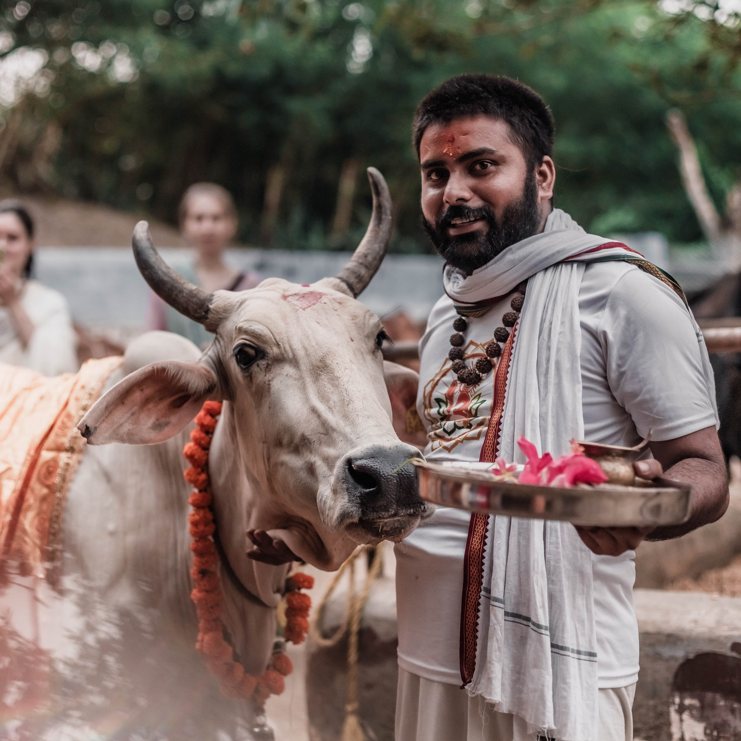 Gau pooja september Devraha Baba ji ashram