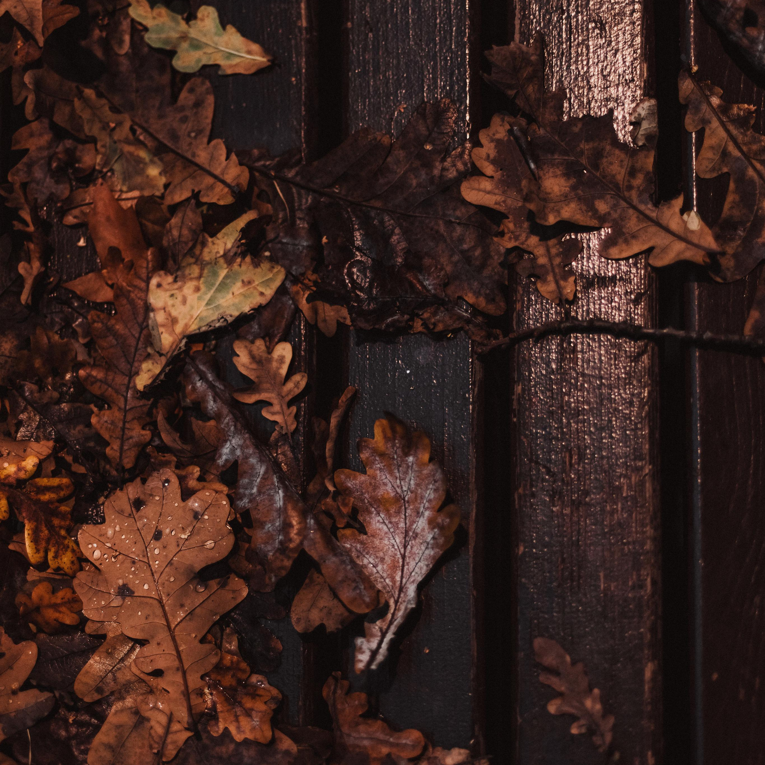 Моменты осени 2022