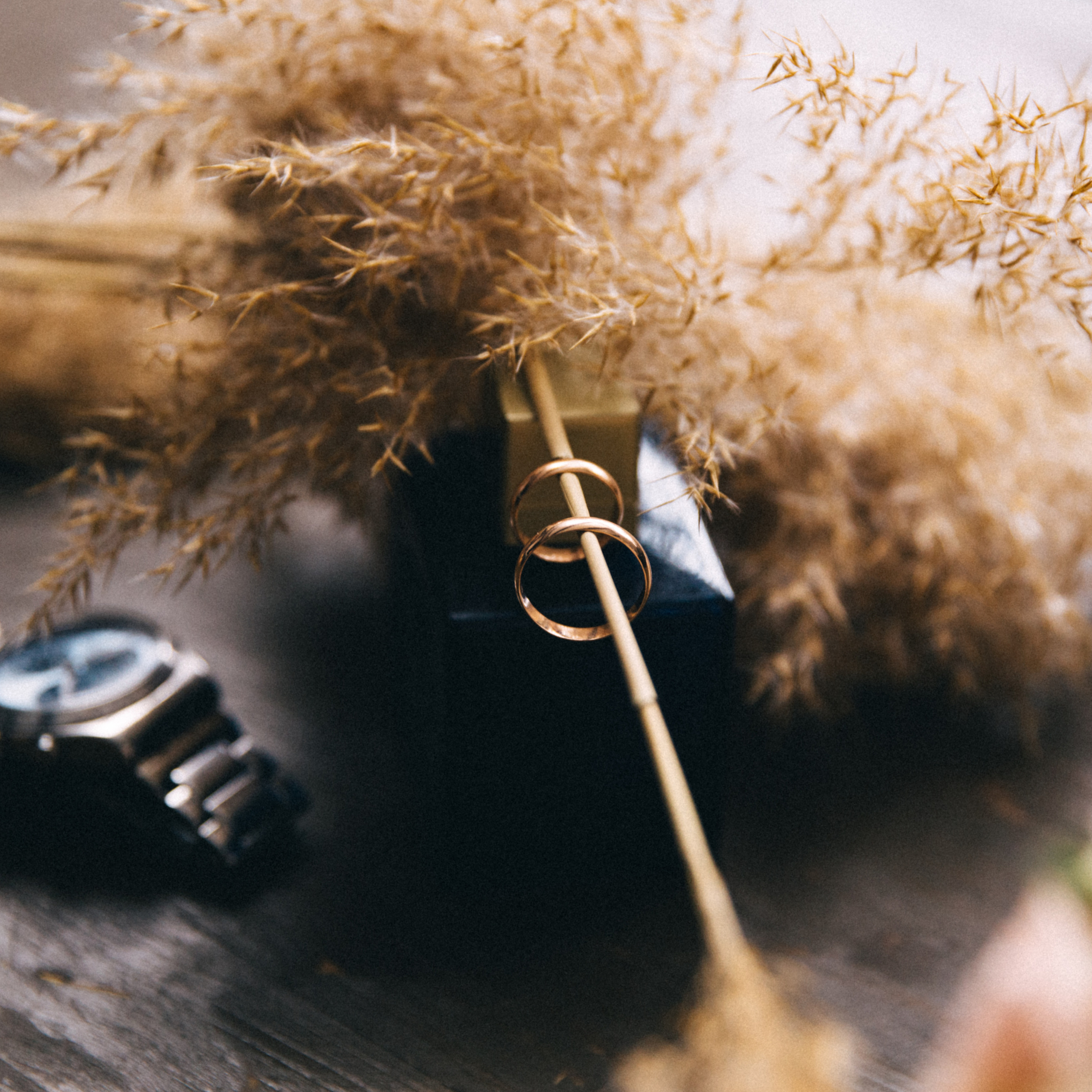 Свадьба Дениса и Маргоши