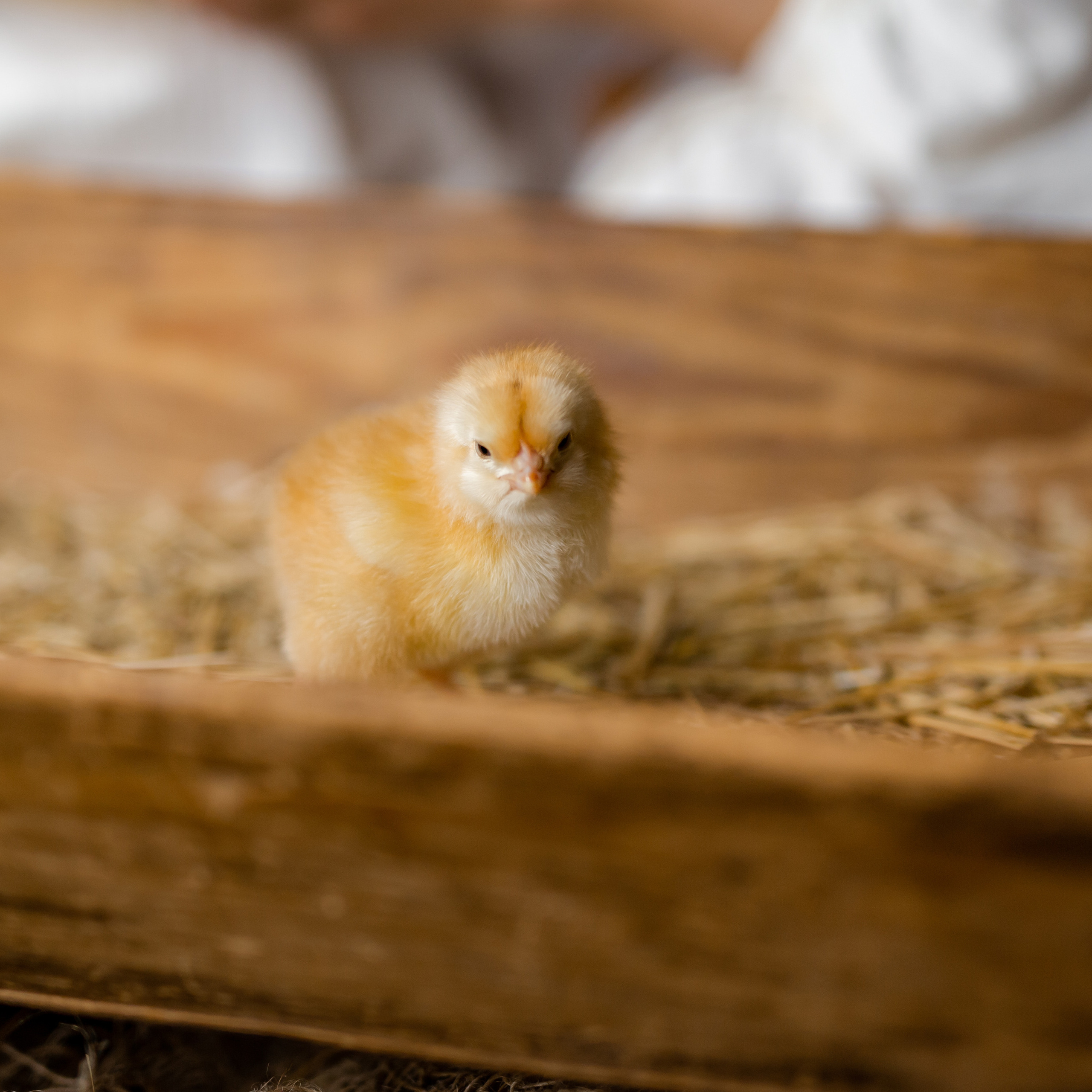 Отзывы. Семейные и детские съемки в Уфе