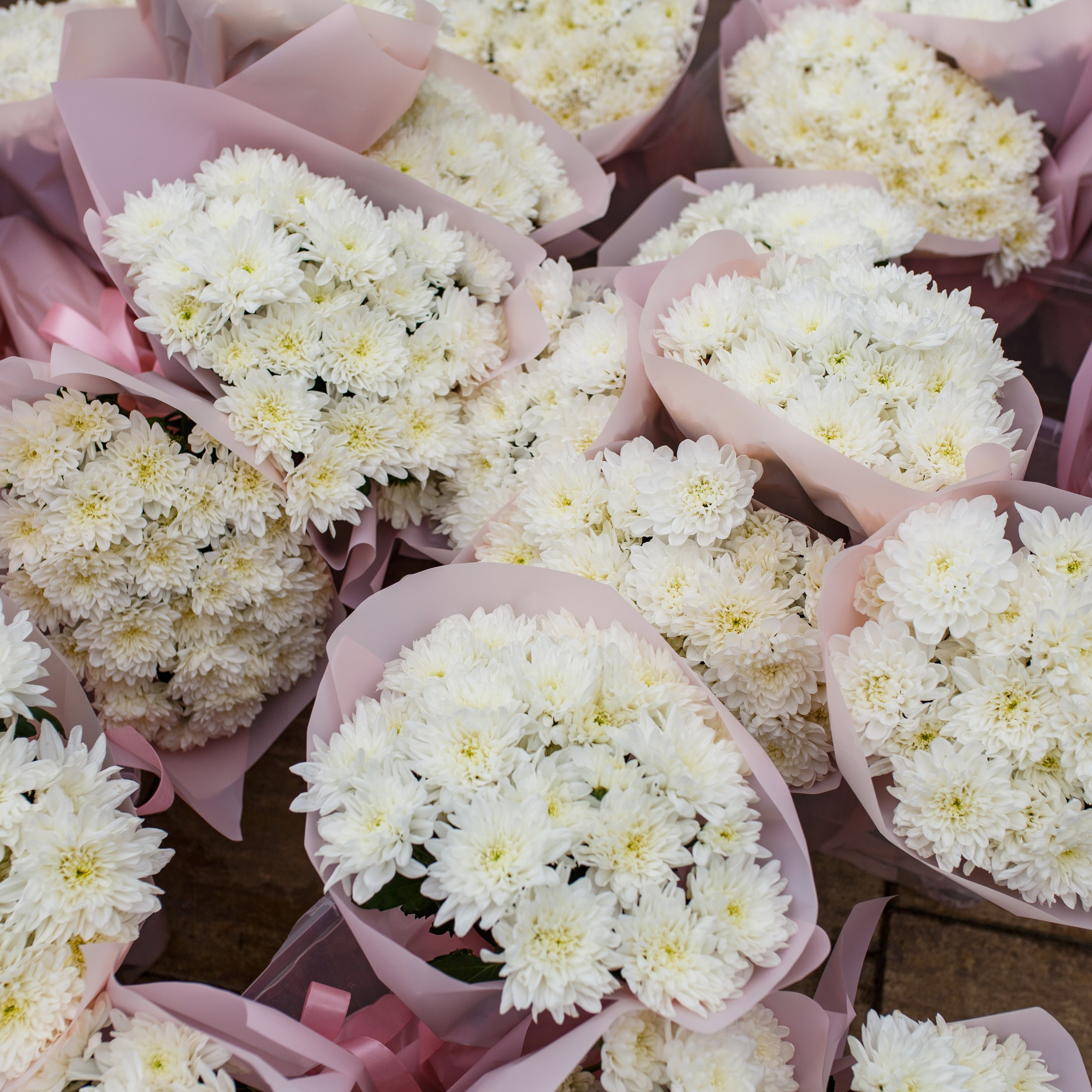 Отзывы. Семейные и детские съемки в Уфе