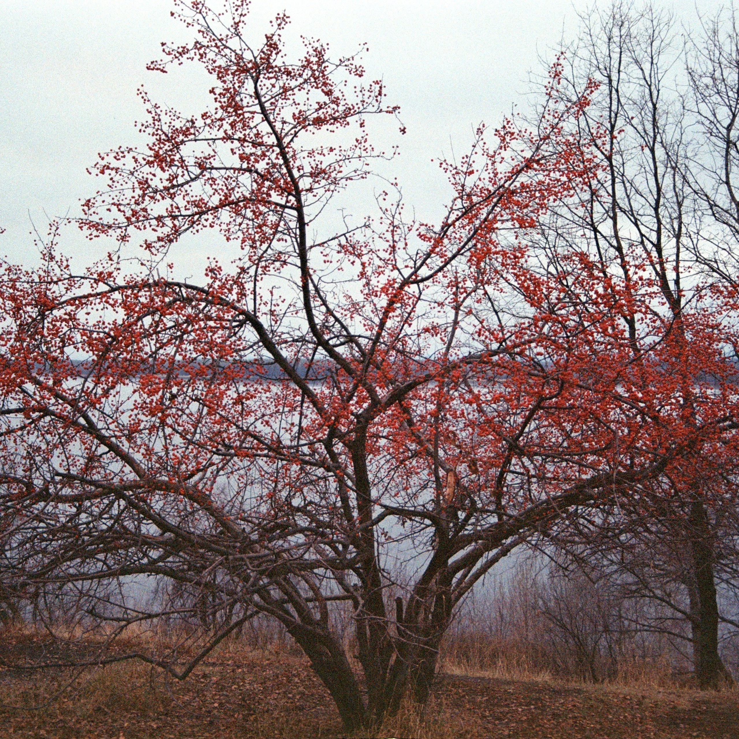 Город Самара