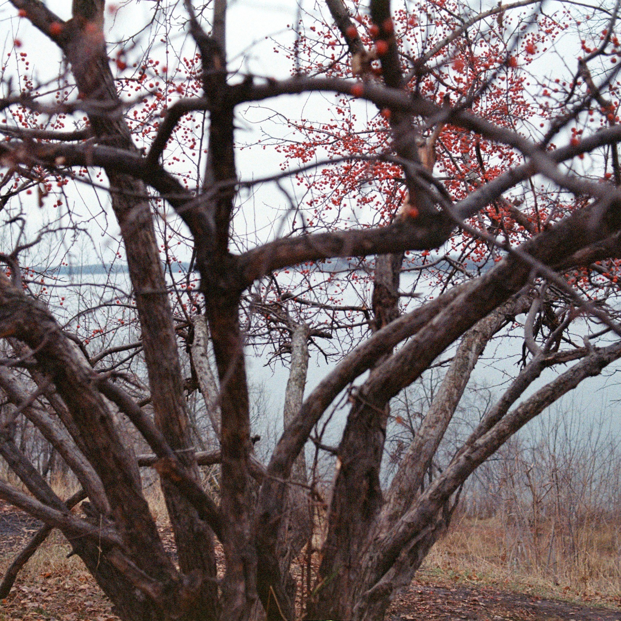 Город Самара