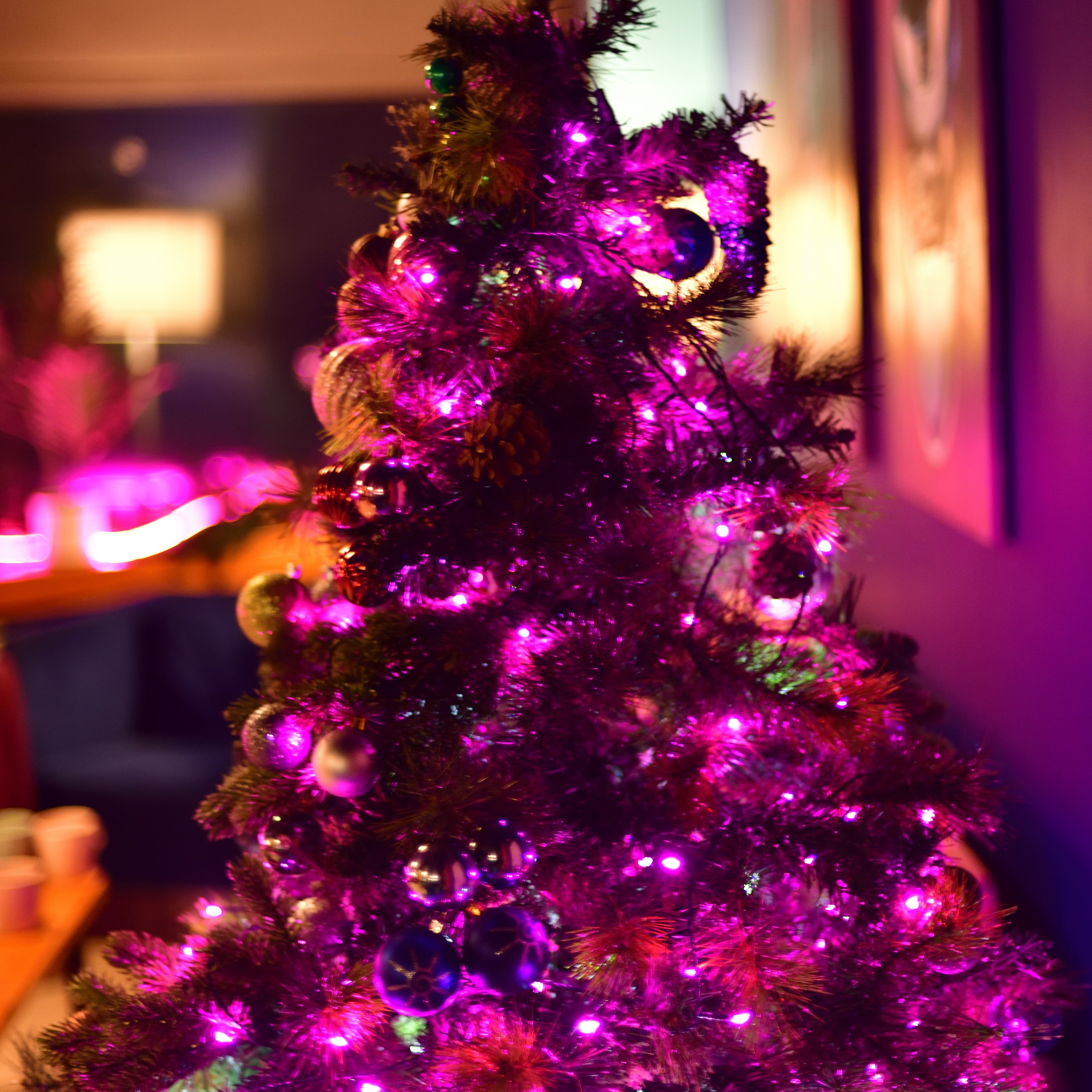 Plastilin Bday 29_12_2024