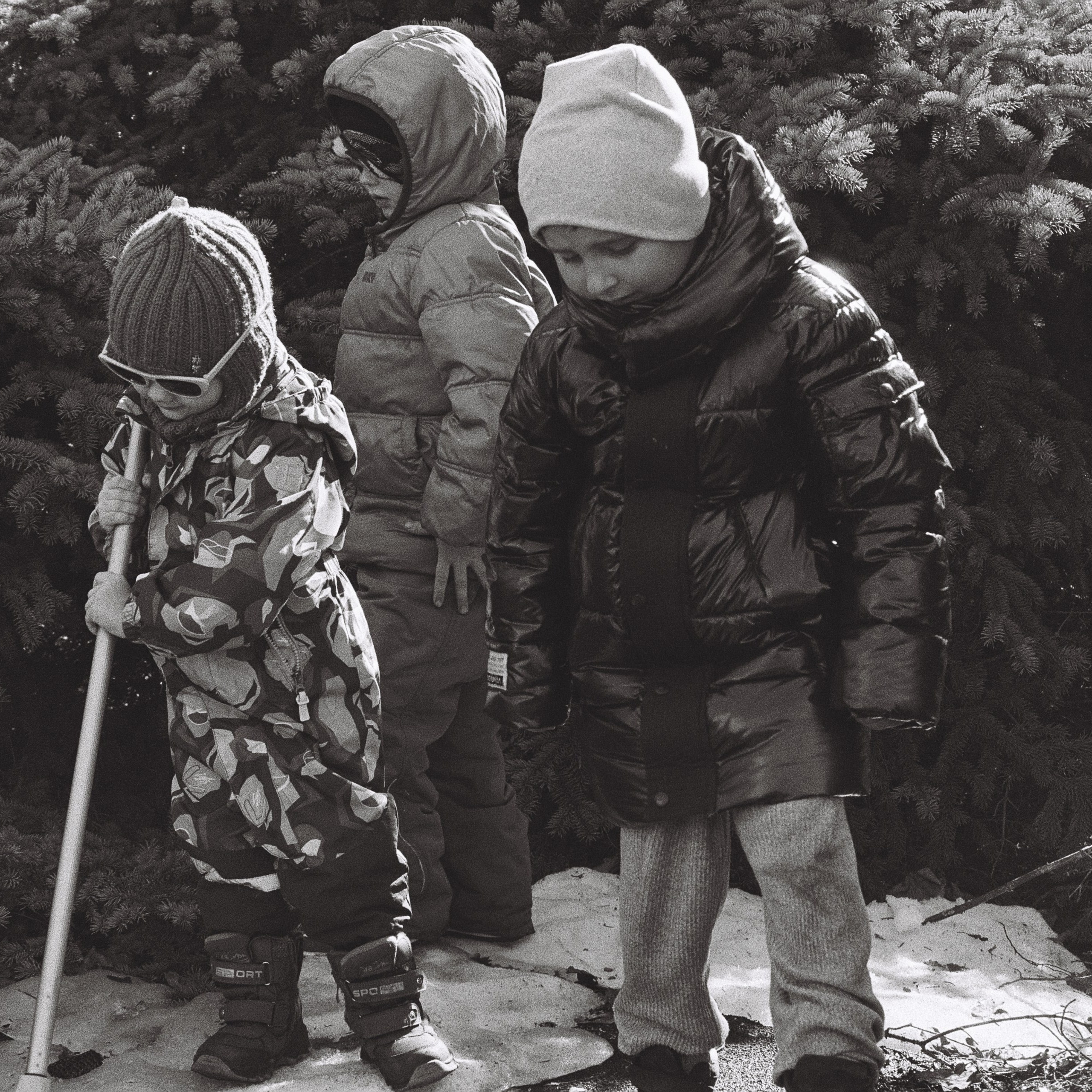 Детский Портрет