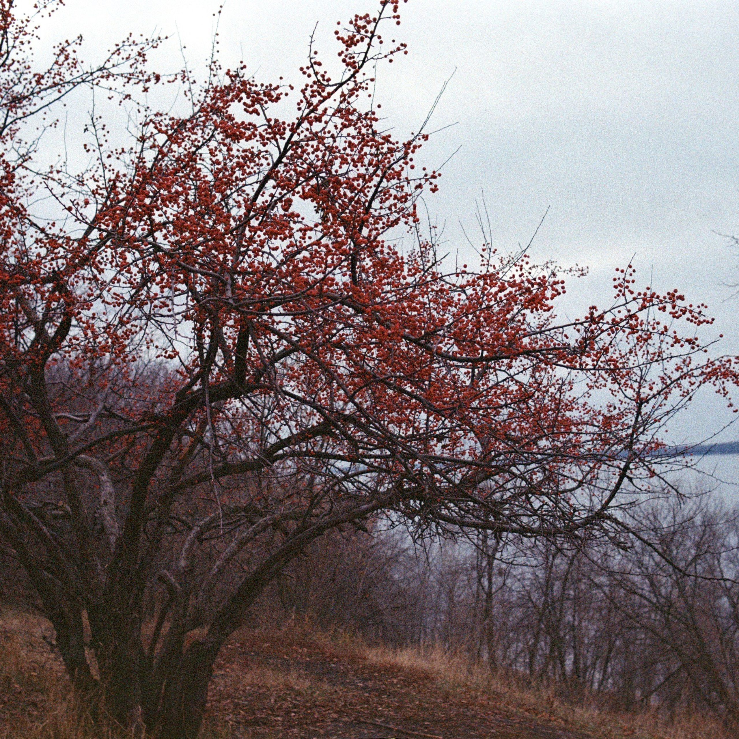Город Самара