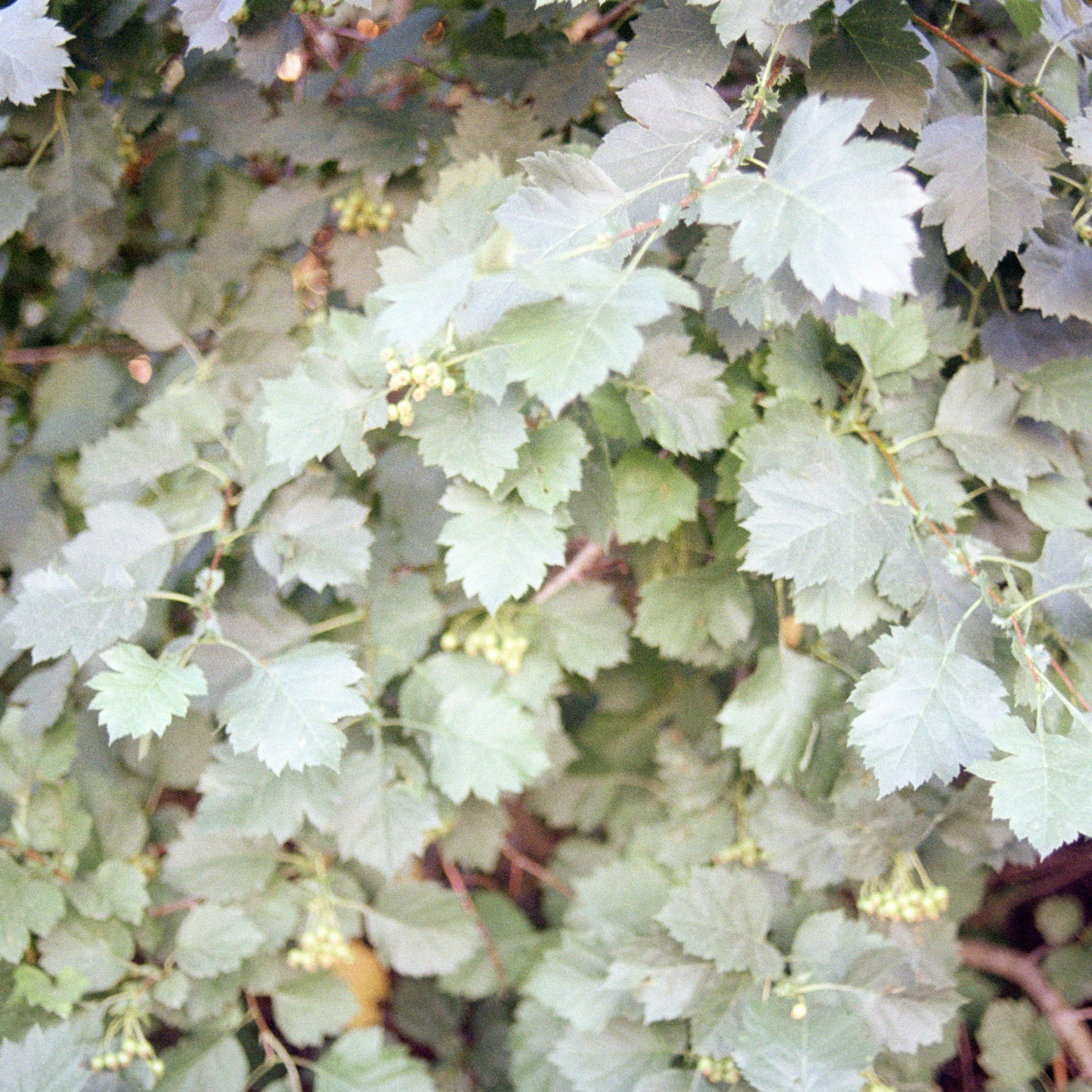 Город Самара