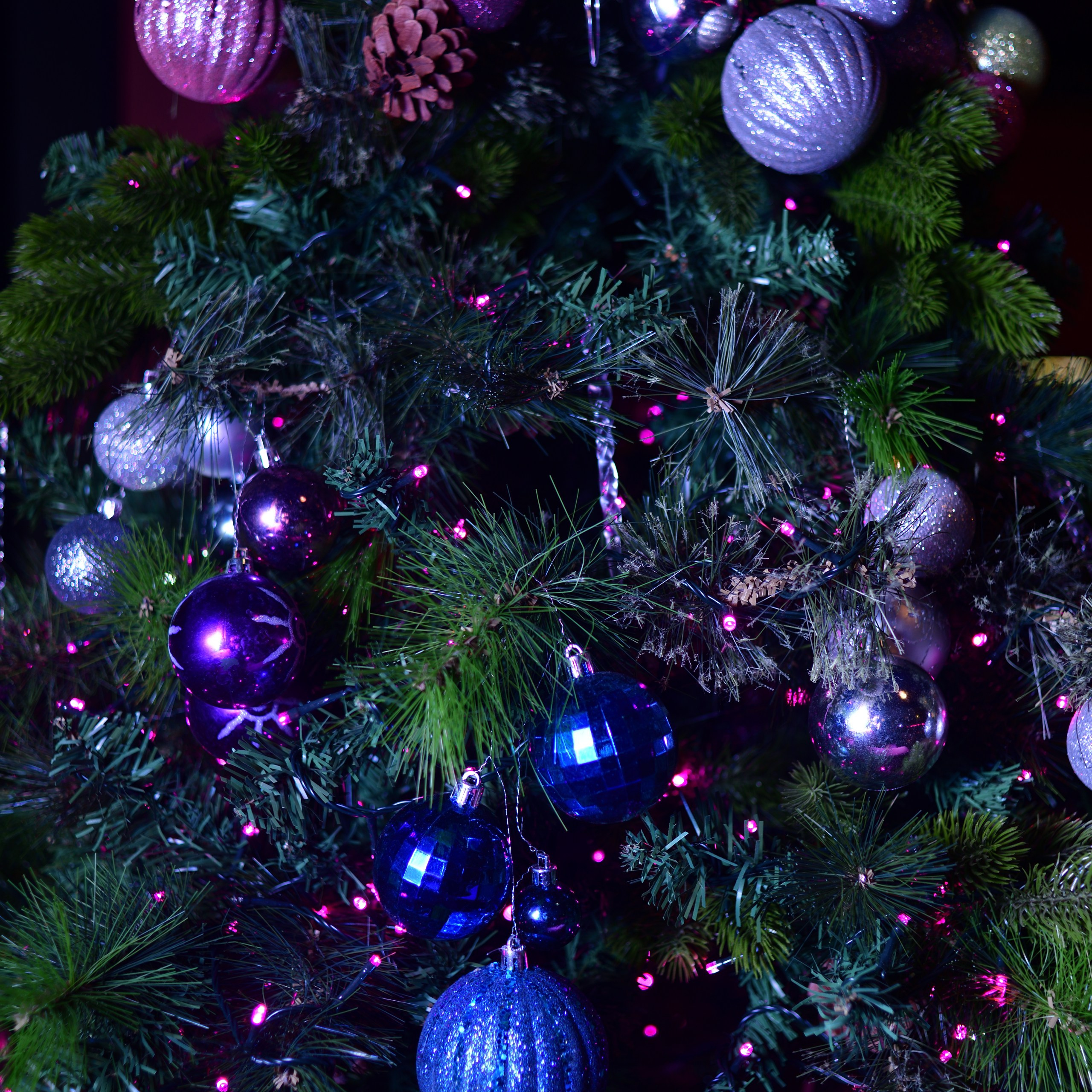 Plastilin Bday 29_12_2024