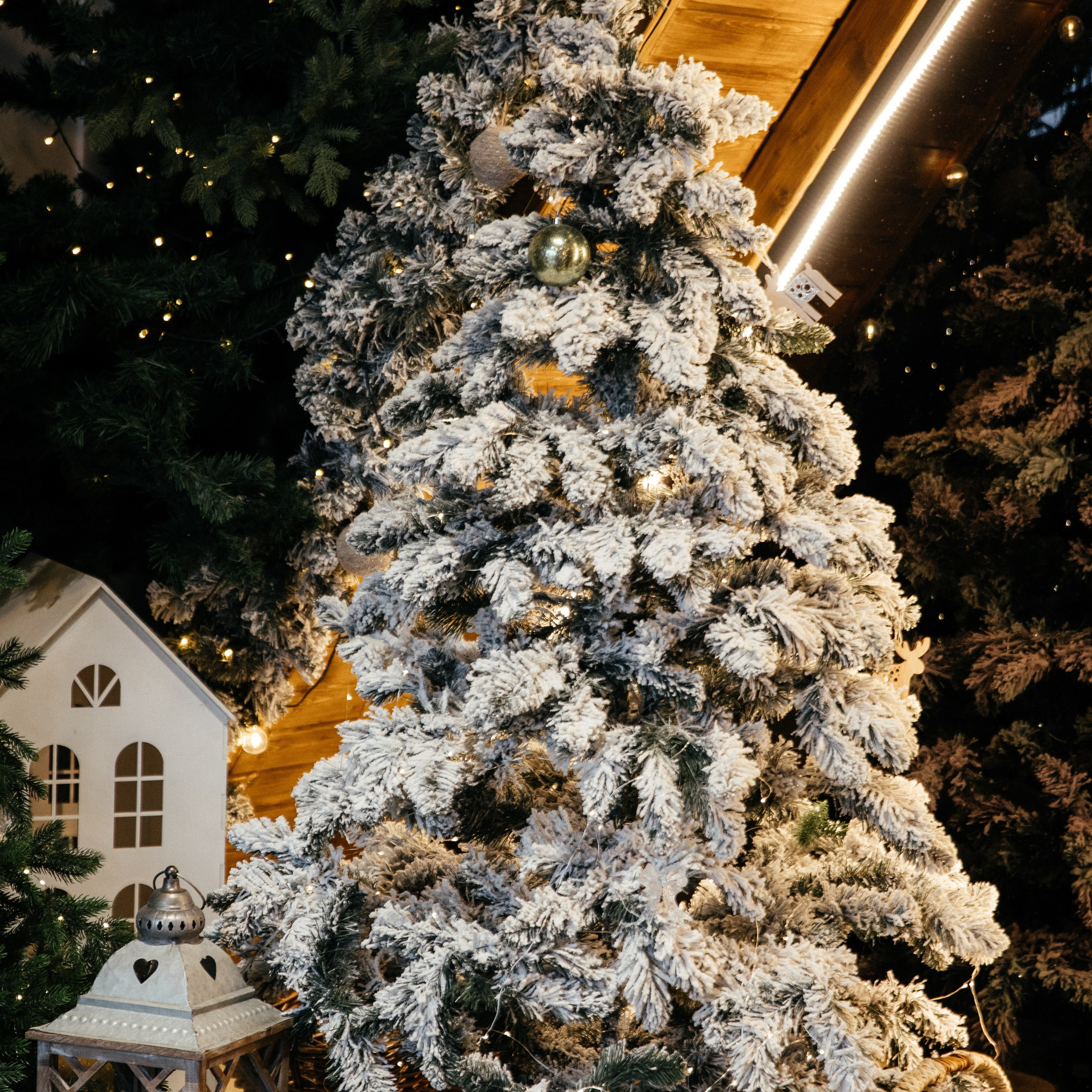 Отзывы. Свадебный фотограф в Краснодаре