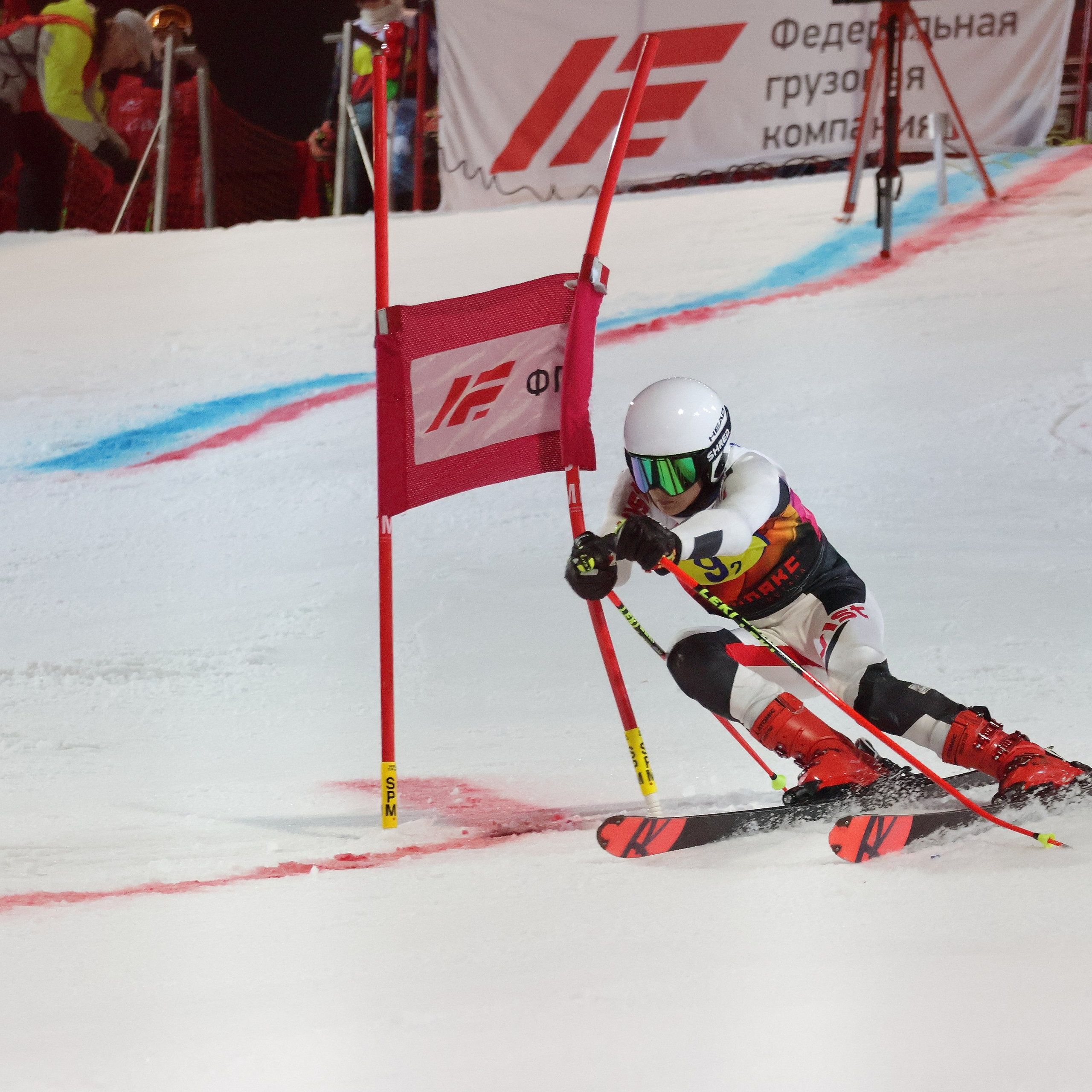 Горные лыжи