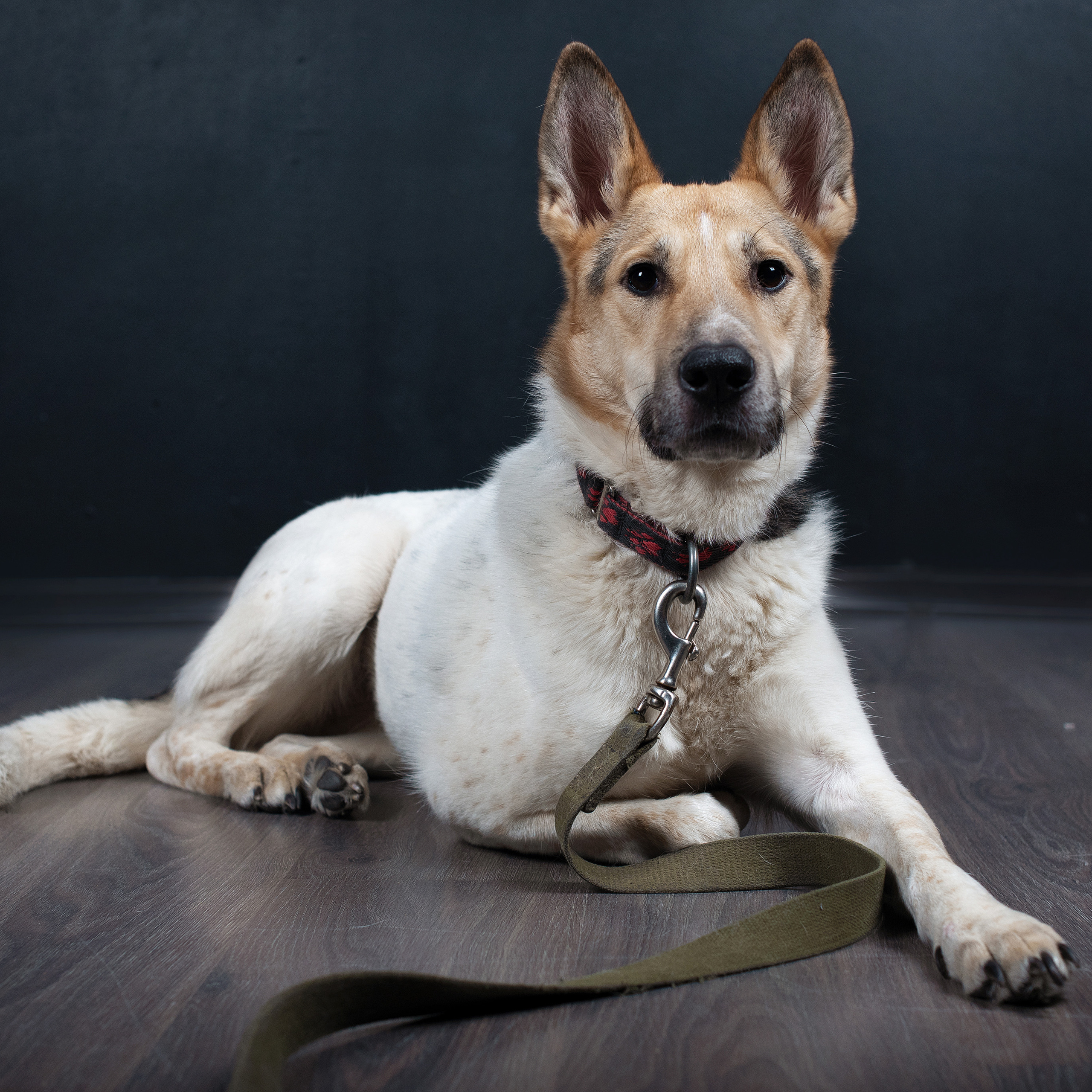 Отзывы. Детский и семейный фотограф в Мурманске Надежда Веденеева